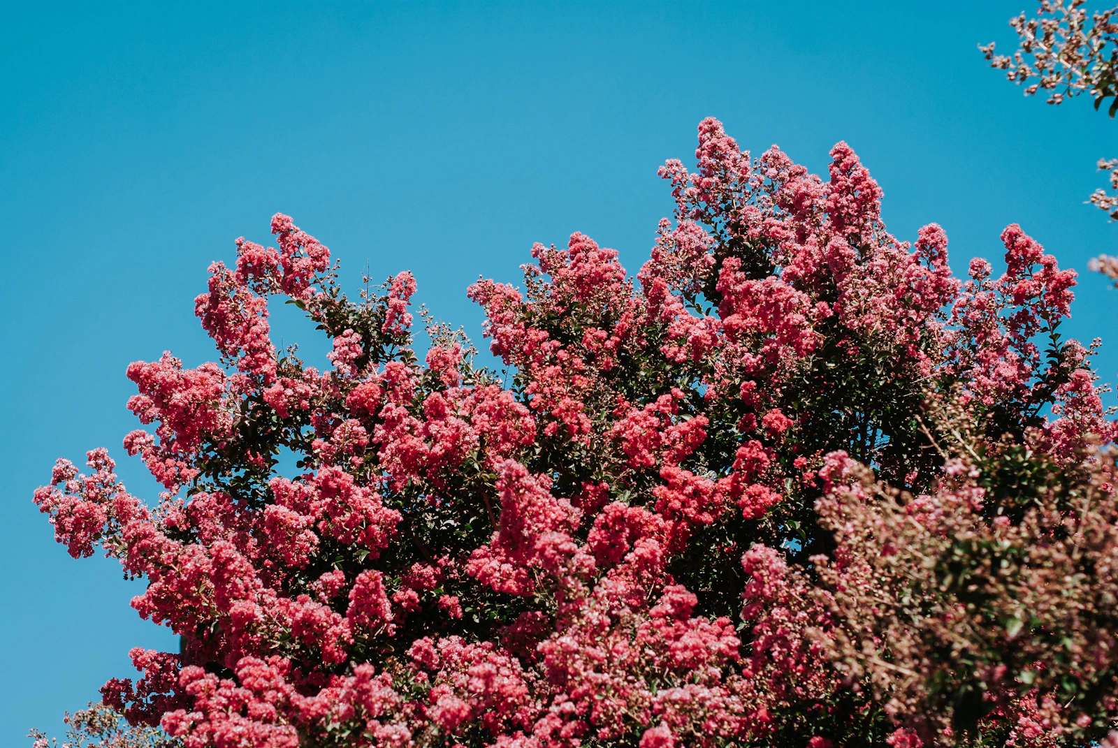 Temecula, California photo 12 by Aubrey Odom