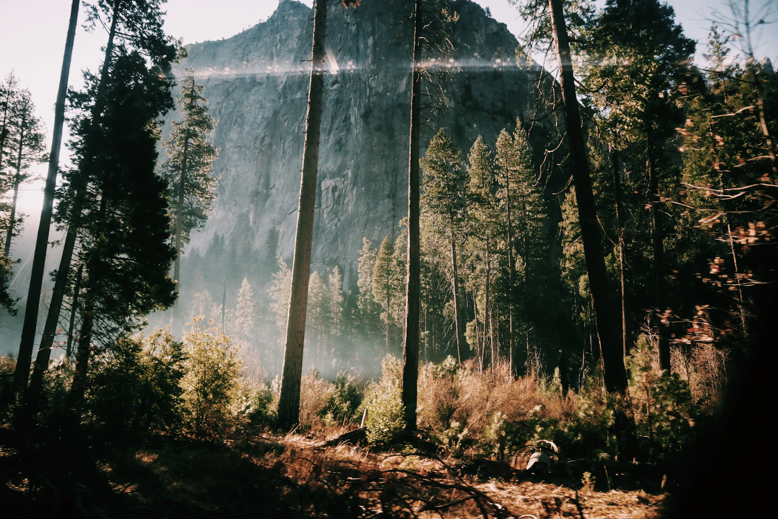 Yosemite Valley, California photo 15 by Saira