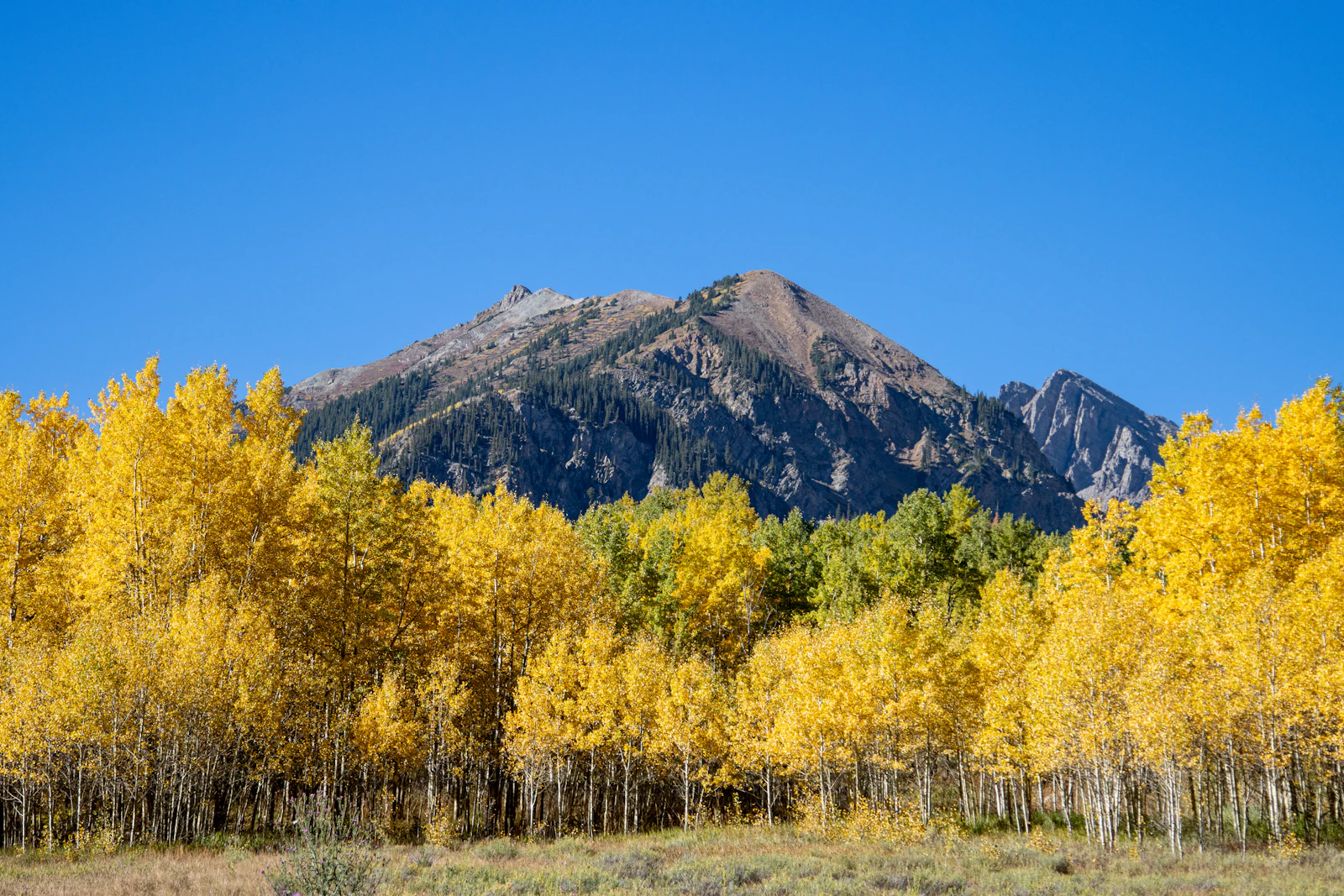 Aspen, Colorado photo 16 by Caleb Jack