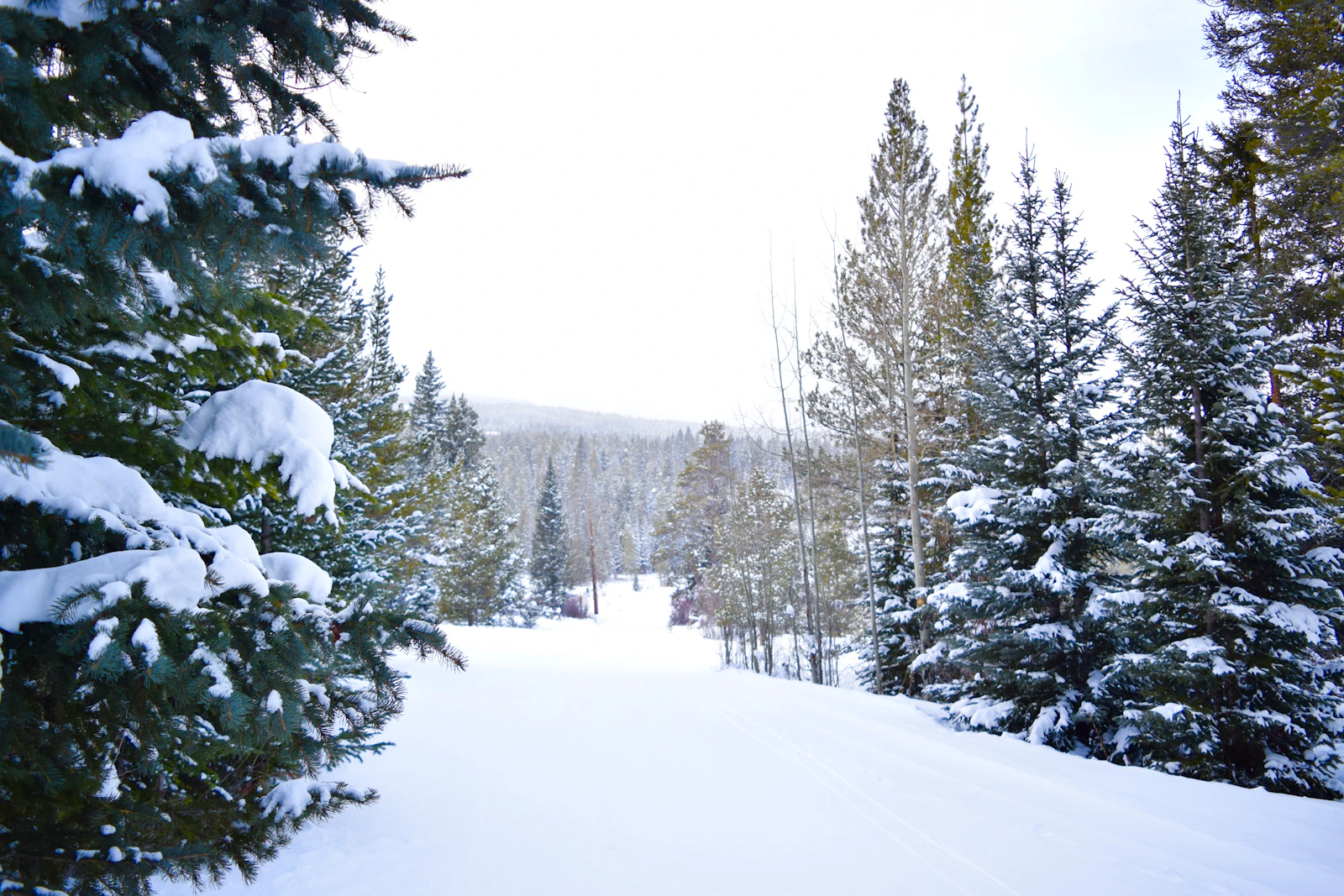 Breckenridge, Colorado photo 28 by Alyssa Best