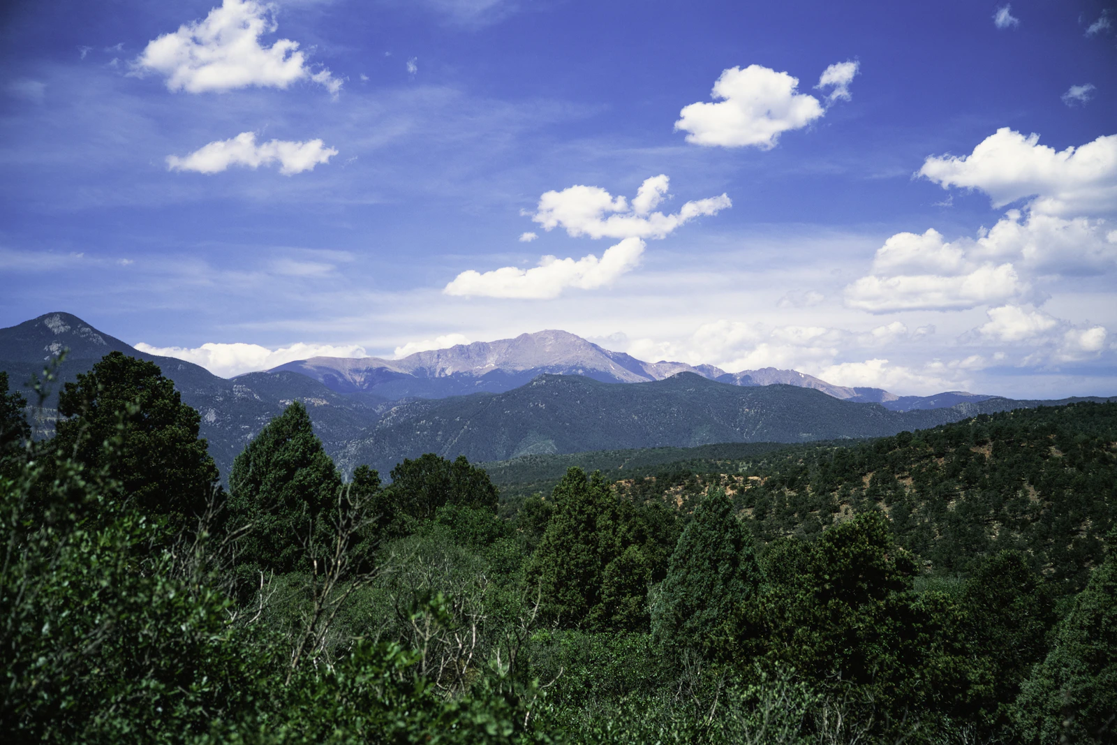 Colorado Springs, Colorado photo 25 by Jude Infantini