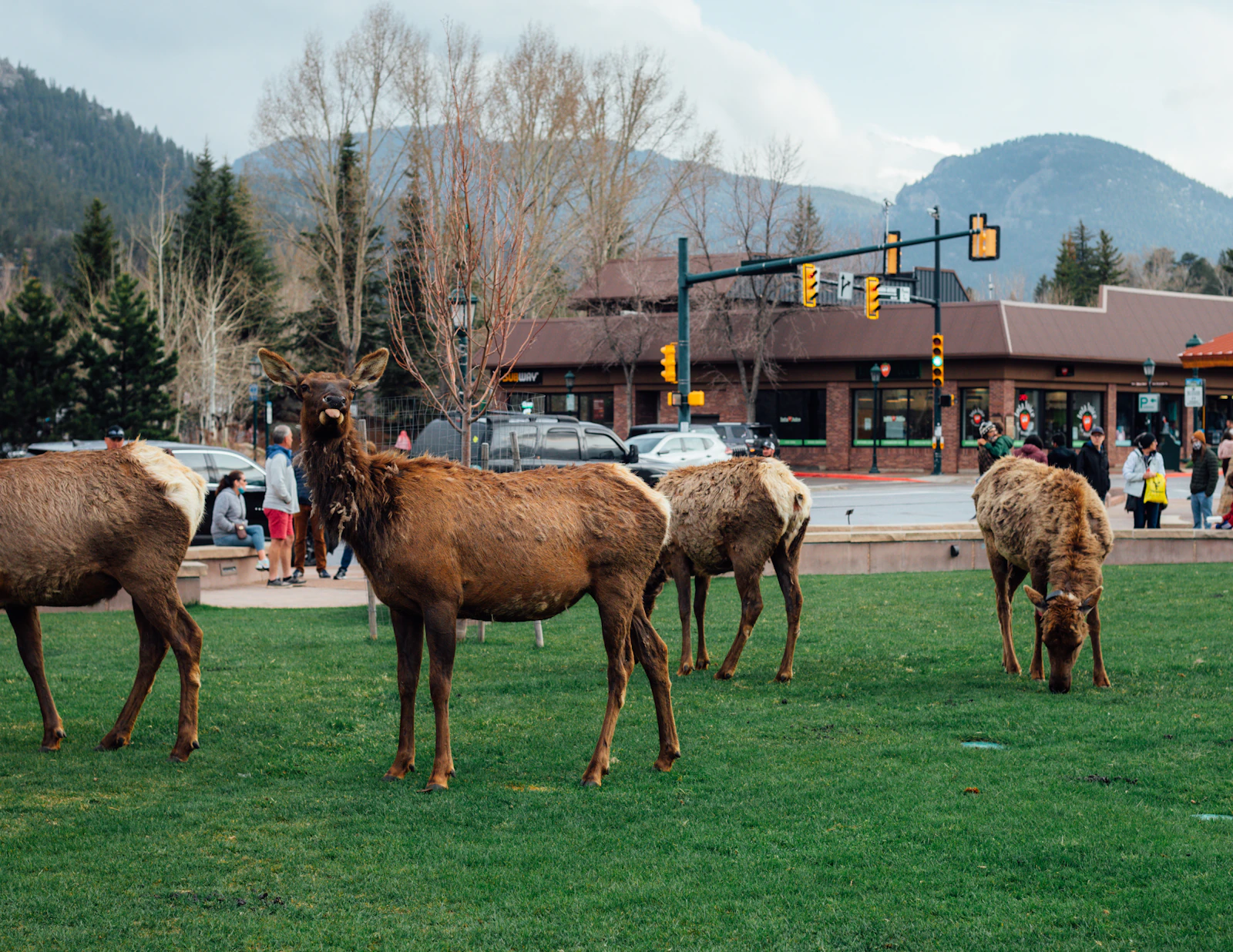 Estes Park, Colorado photo 5 by Logan Gutierrez