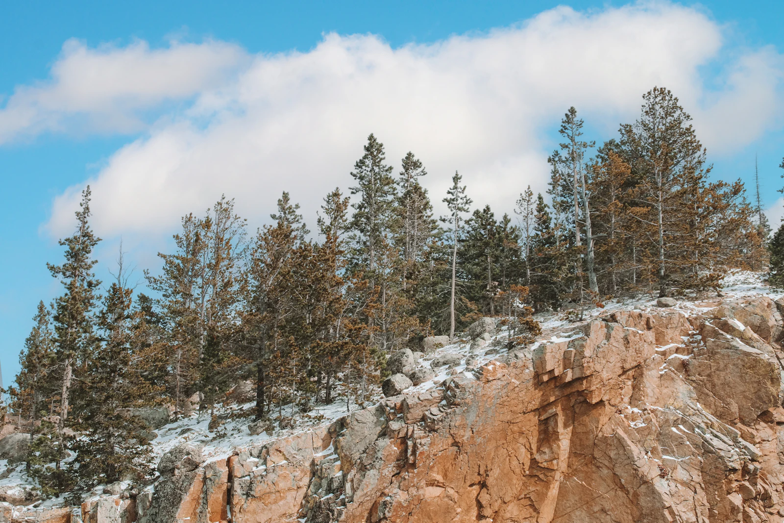 Estes Park, Colorado photo 13 by Dominique Hicks