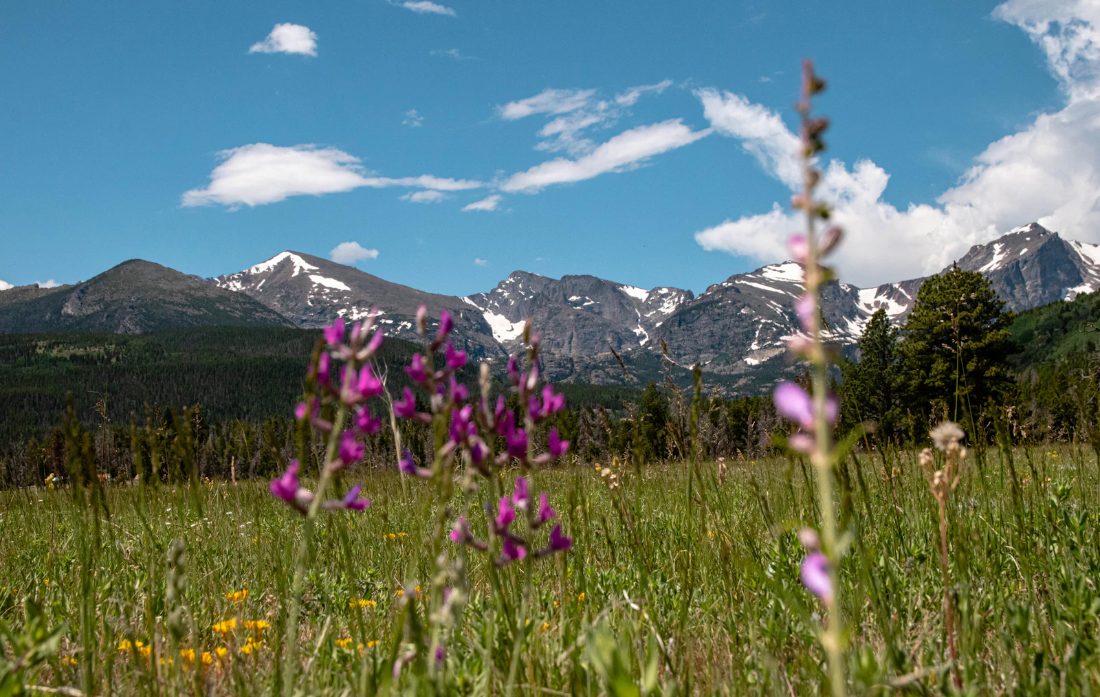 Estes Park, Colorado photo 21 by Kristina Volgenau