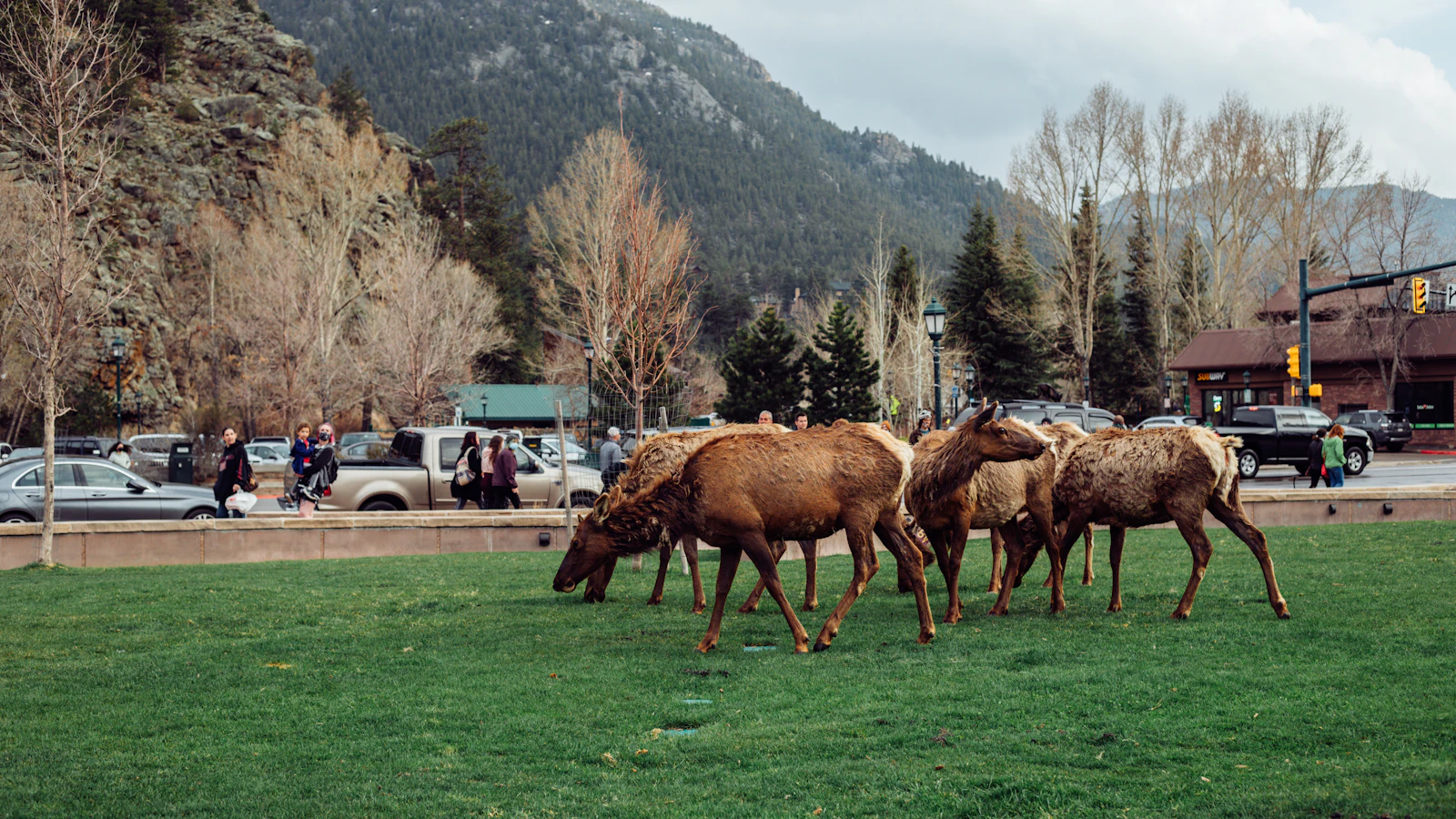 Estes Park, Colorado photo 19 by Logan Gutierrez