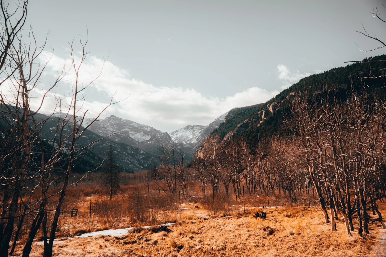 Estes Park, Colorado photo 28 by Dalton McCormick
