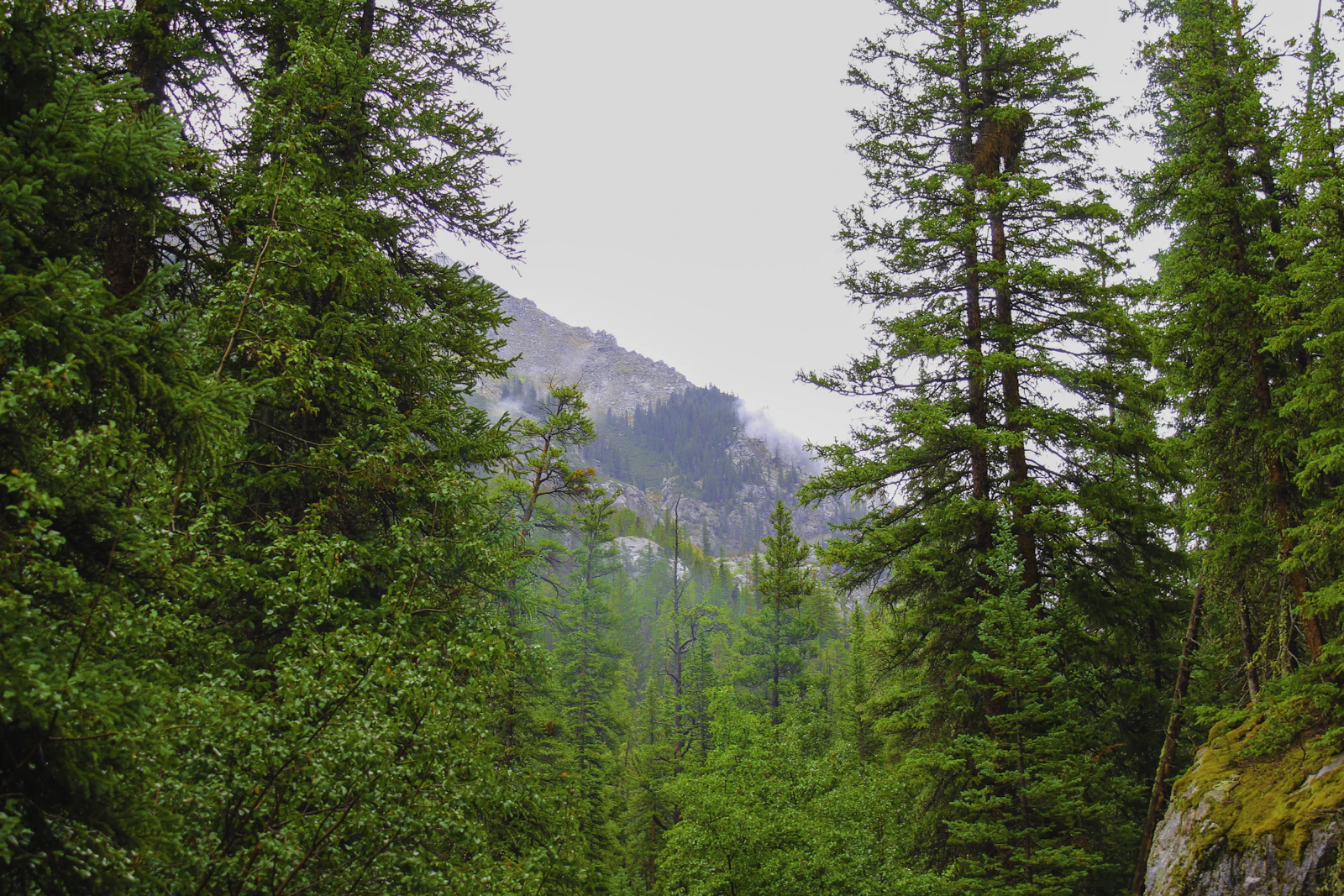 Glenwood Springs, Colorado photo 8 by Nate Hughes
