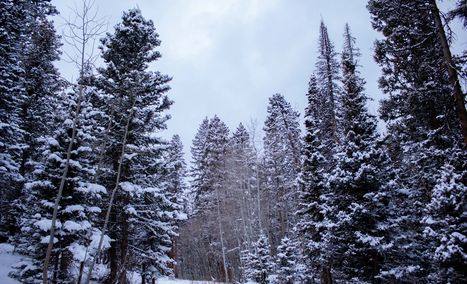 Glenwood Springs, Colorado photo 7 by Nate Hughes