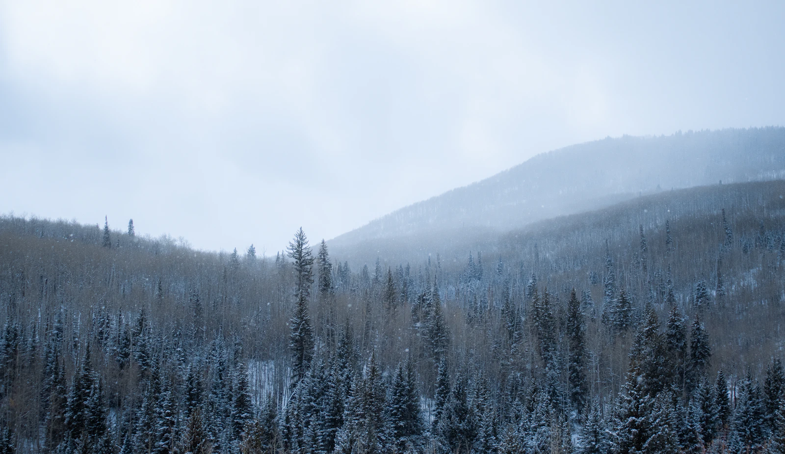 Glenwood Springs, Colorado photo 20 by Nate Hughes