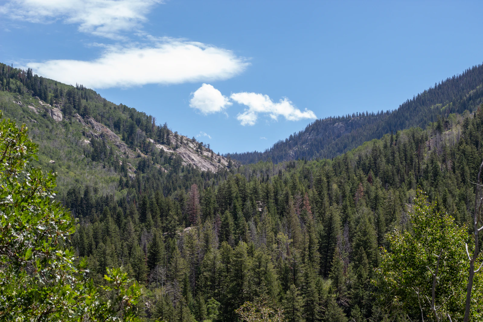 Steamboat Springs, Colorado photo 11 by Luis Olmos