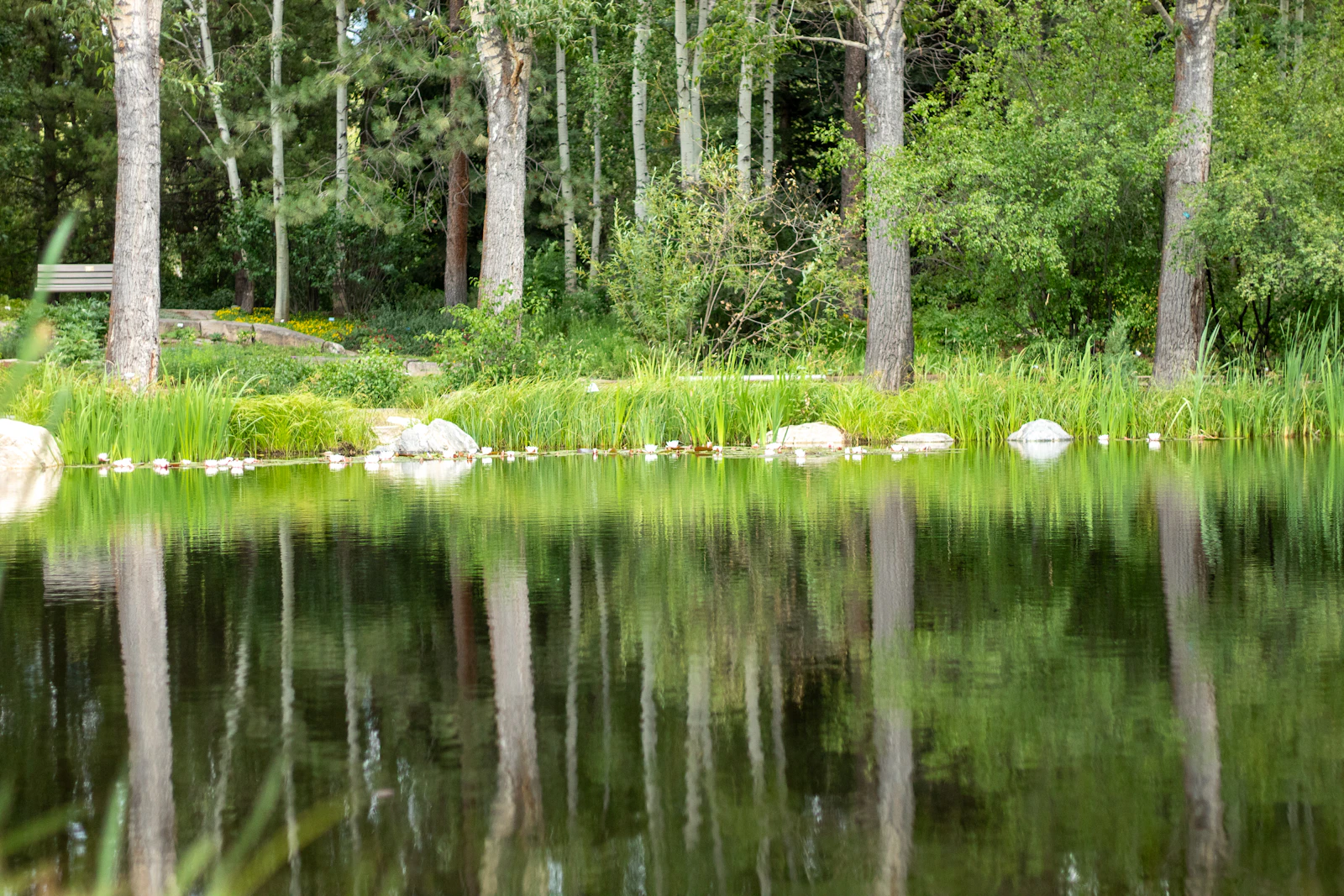 Steamboat Springs, Colorado photo 12 by Luis Olmos