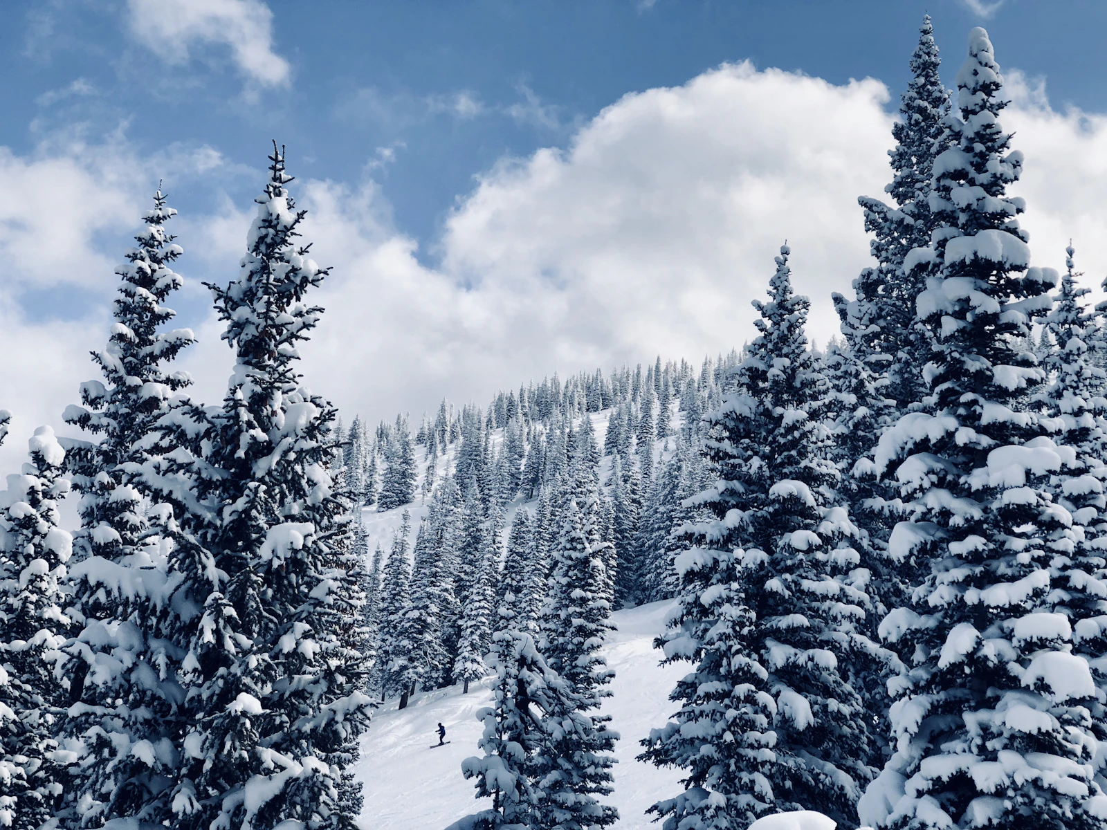 Steamboat Springs, Colorado photo 1 by Sean Kelley