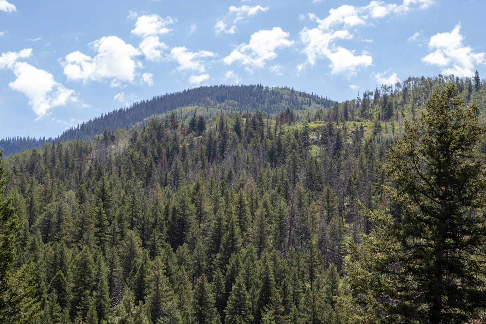 Steamboat Springs, Colorado photo 13 by Luis Olmos