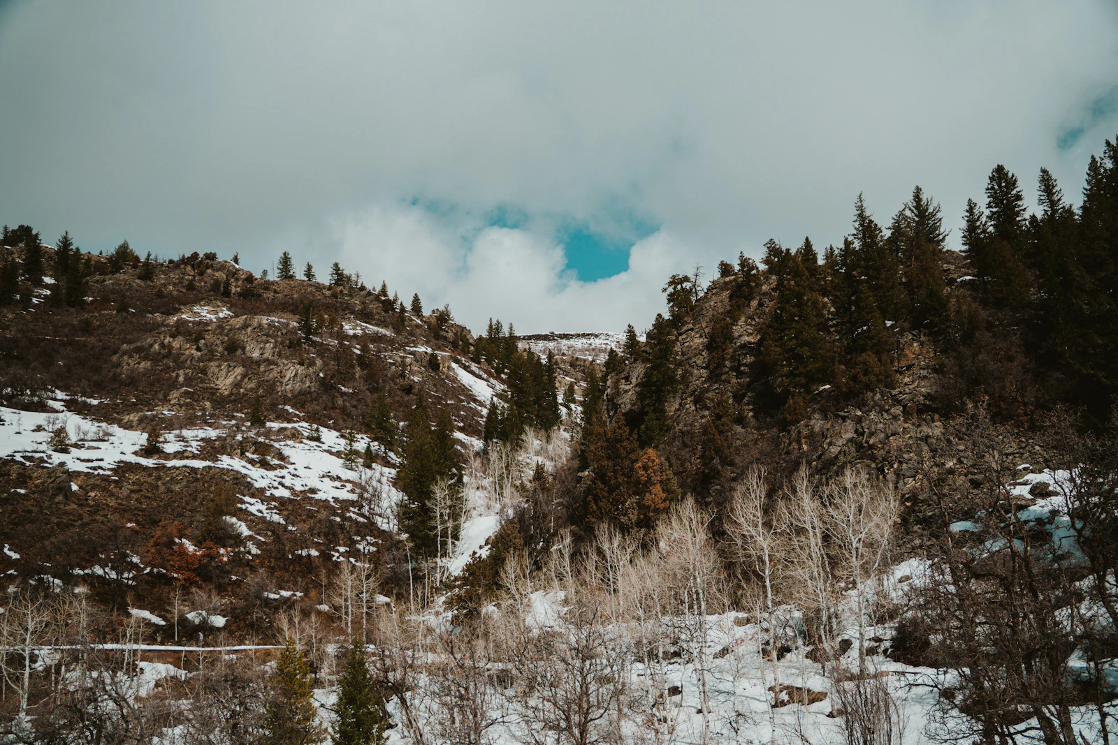 Steamboat Springs, Colorado photo 29 by Nicholas Fuentes