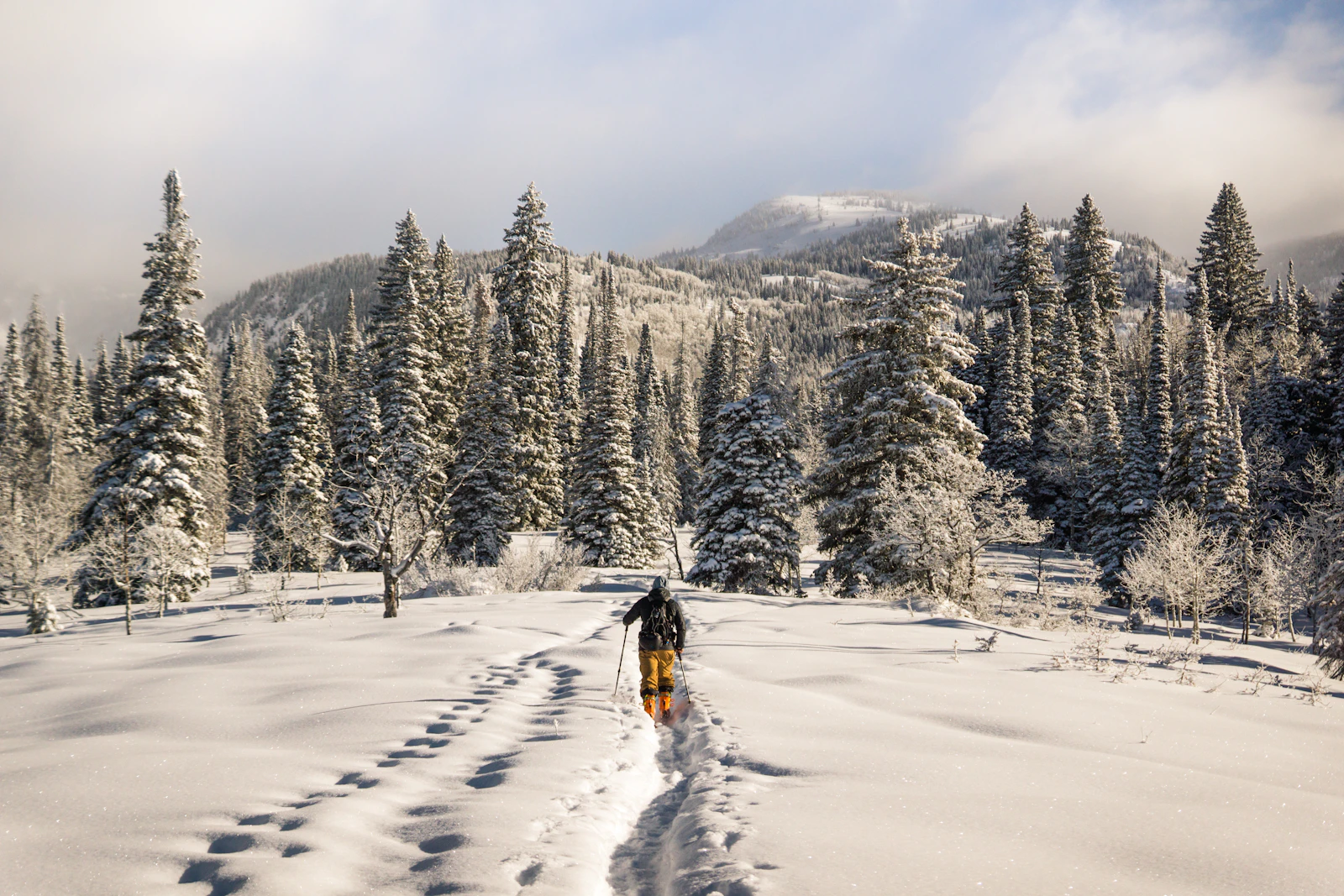 Steamboat Springs, Colorado photo 25 by Chris Holder
