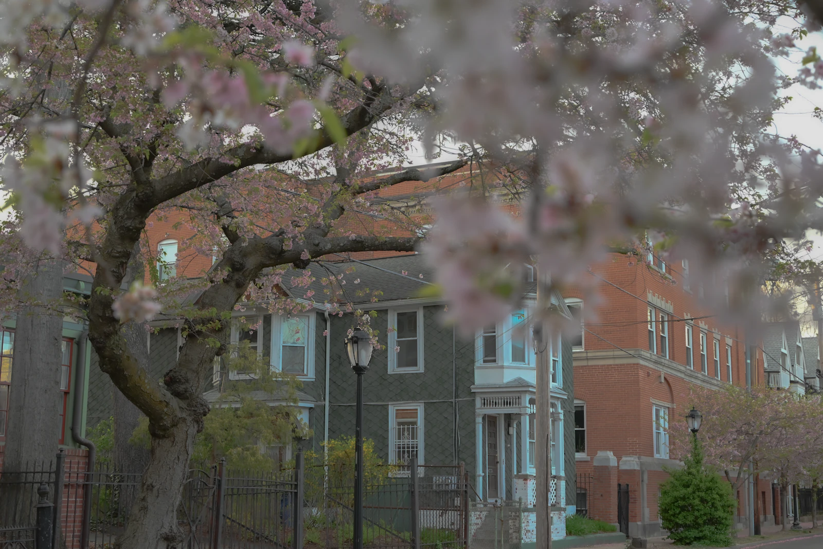 New Haven, Connecticut photo 19 by Huichao Ji