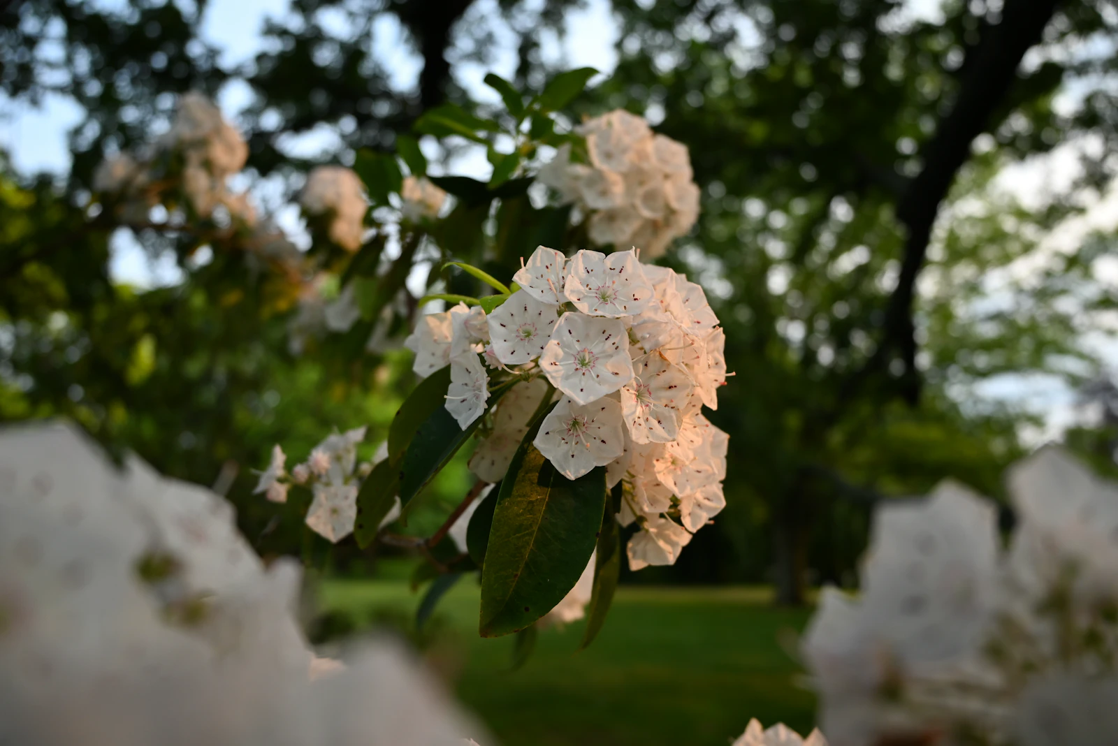 New Haven, Connecticut photo 25 by Huichao Ji
