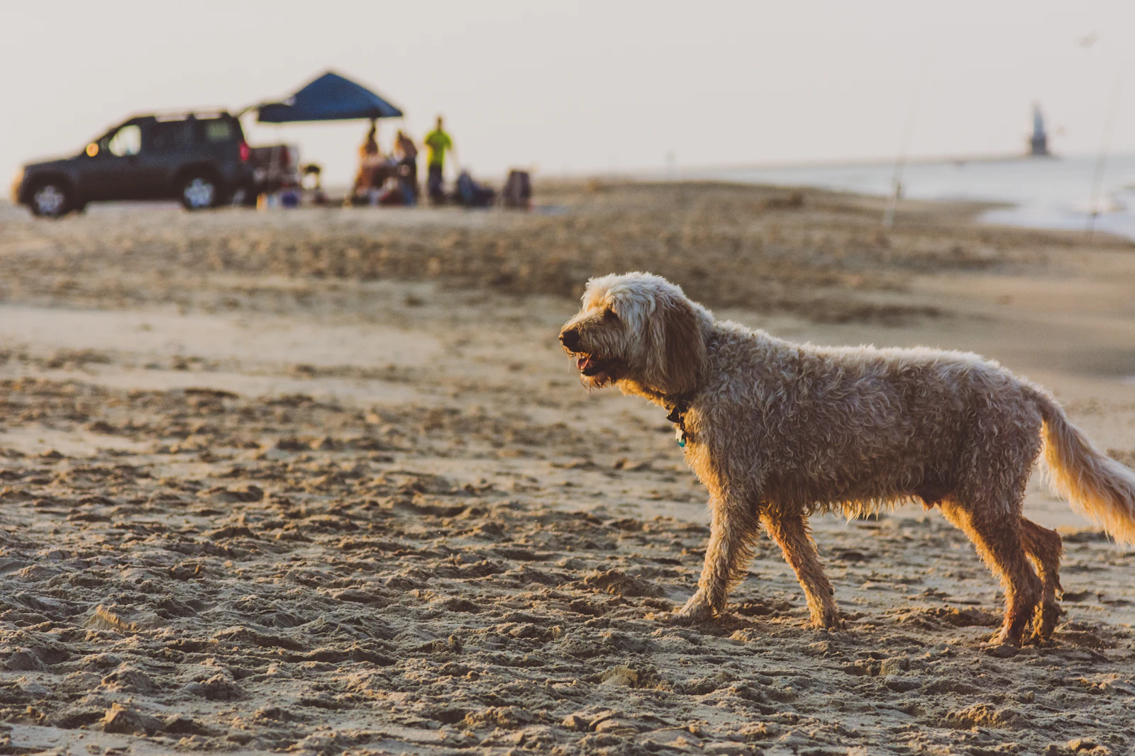 Rehoboth Beach, Delaware photo 5 by Johnell Pannell