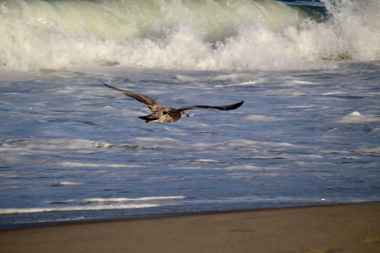 Rehoboth Beach, Delaware photo 10 by Michael Geyer