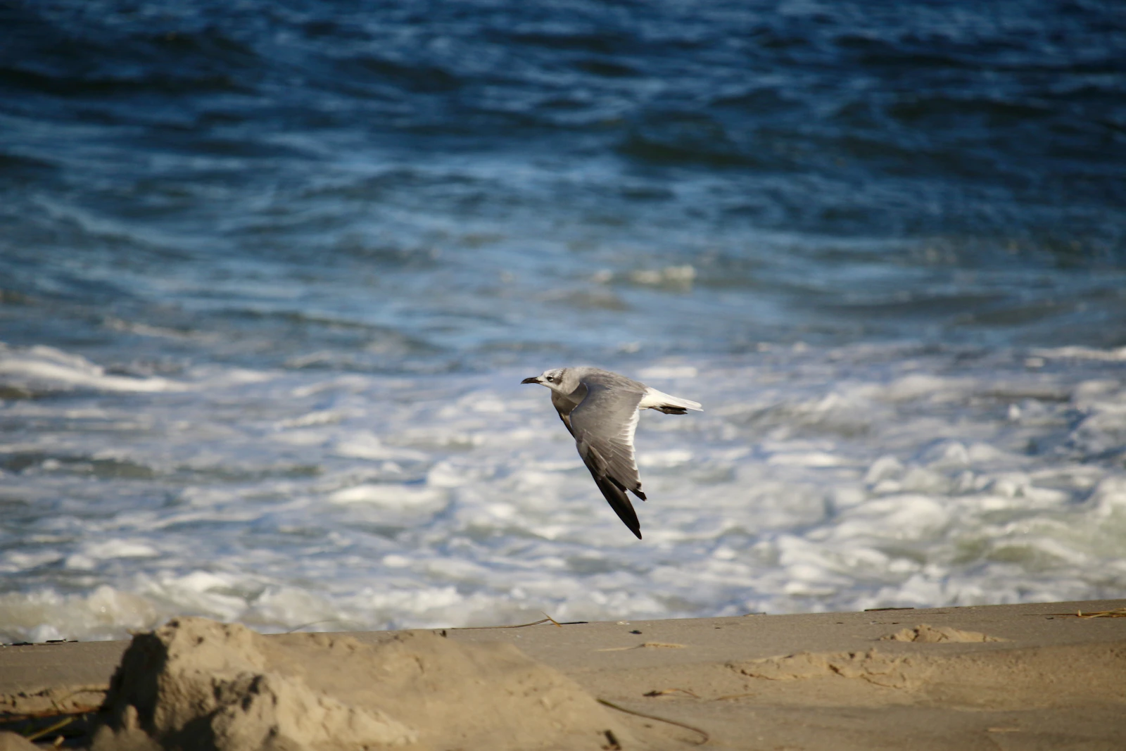 Rehoboth Beach, Delaware photo 12 by Michael Geyer