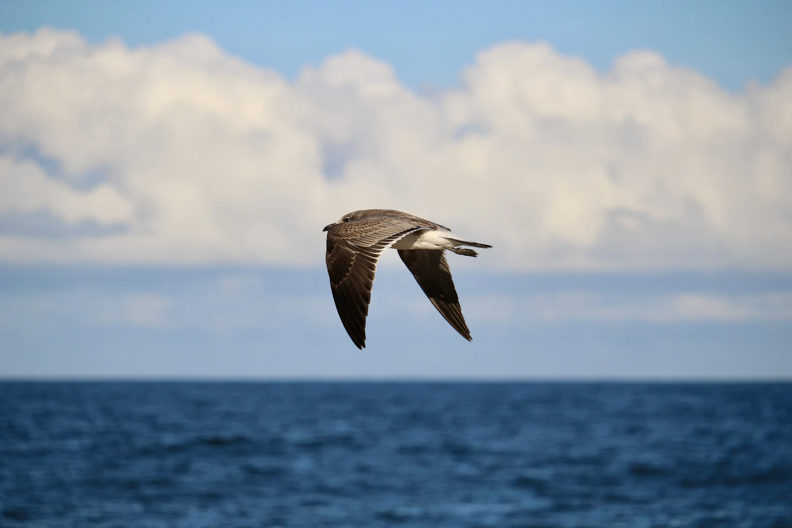 Rehoboth Beach, Delaware photo 28 by Michael Geyer