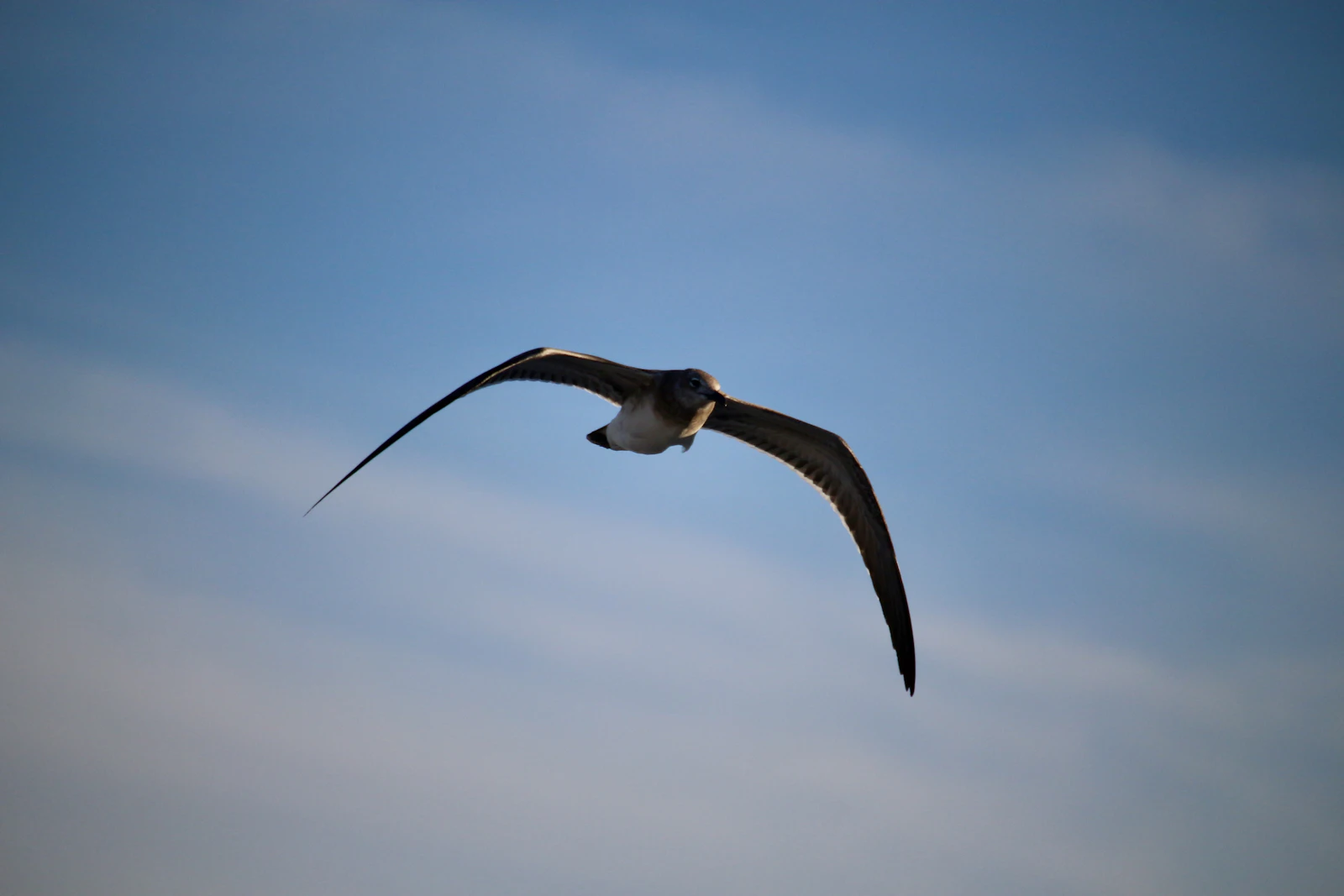 Rehoboth Beach, Delaware photo 29 by Michael Geyer