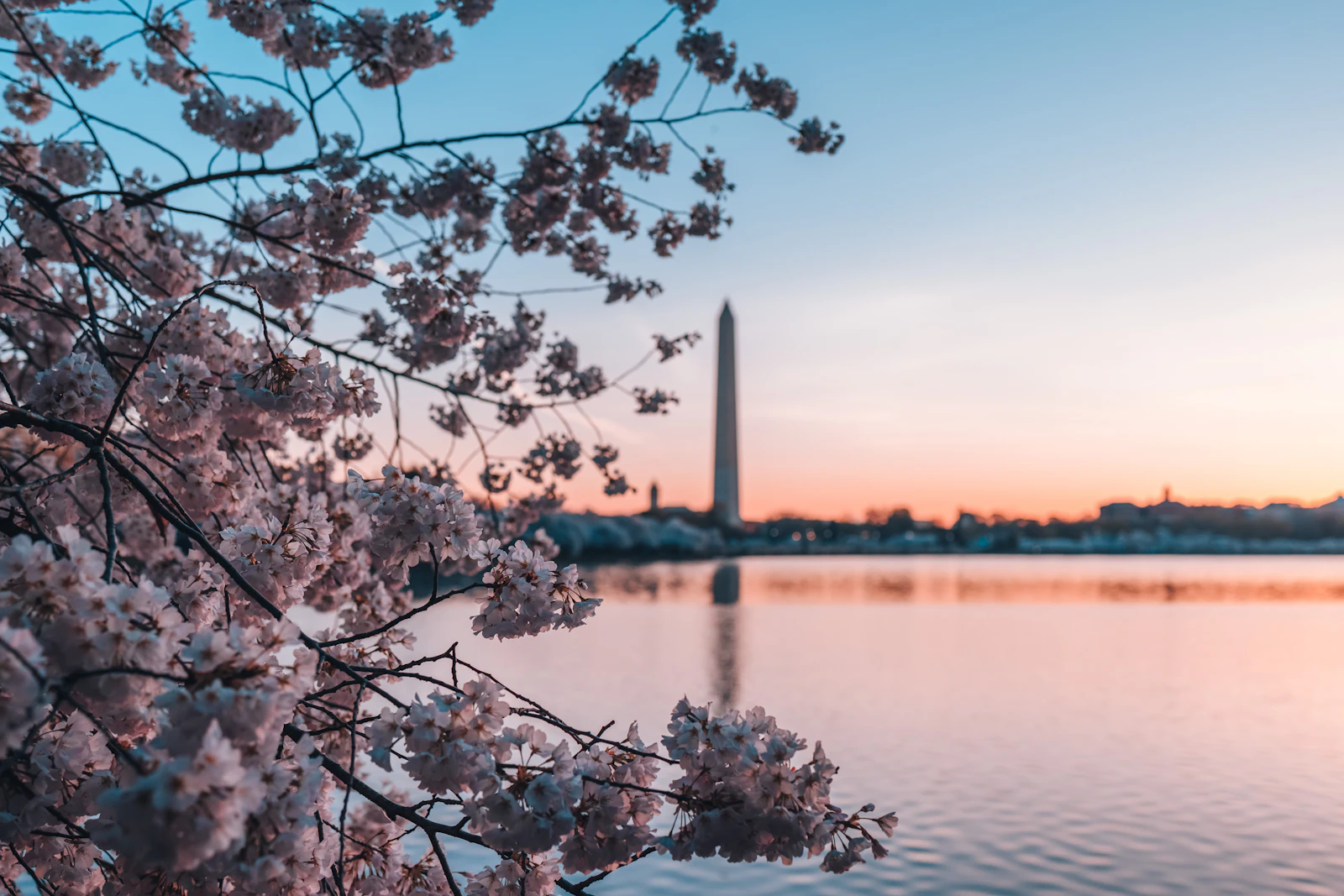 Washington, D.C., District of Columbia photo 9 by Andy Feliciotti