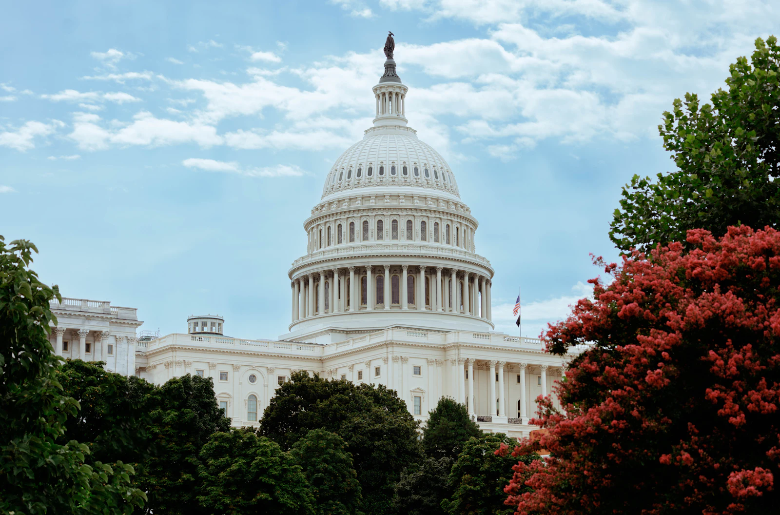 Washington, D.C., District of Columbia photo 12 by Connor Gan