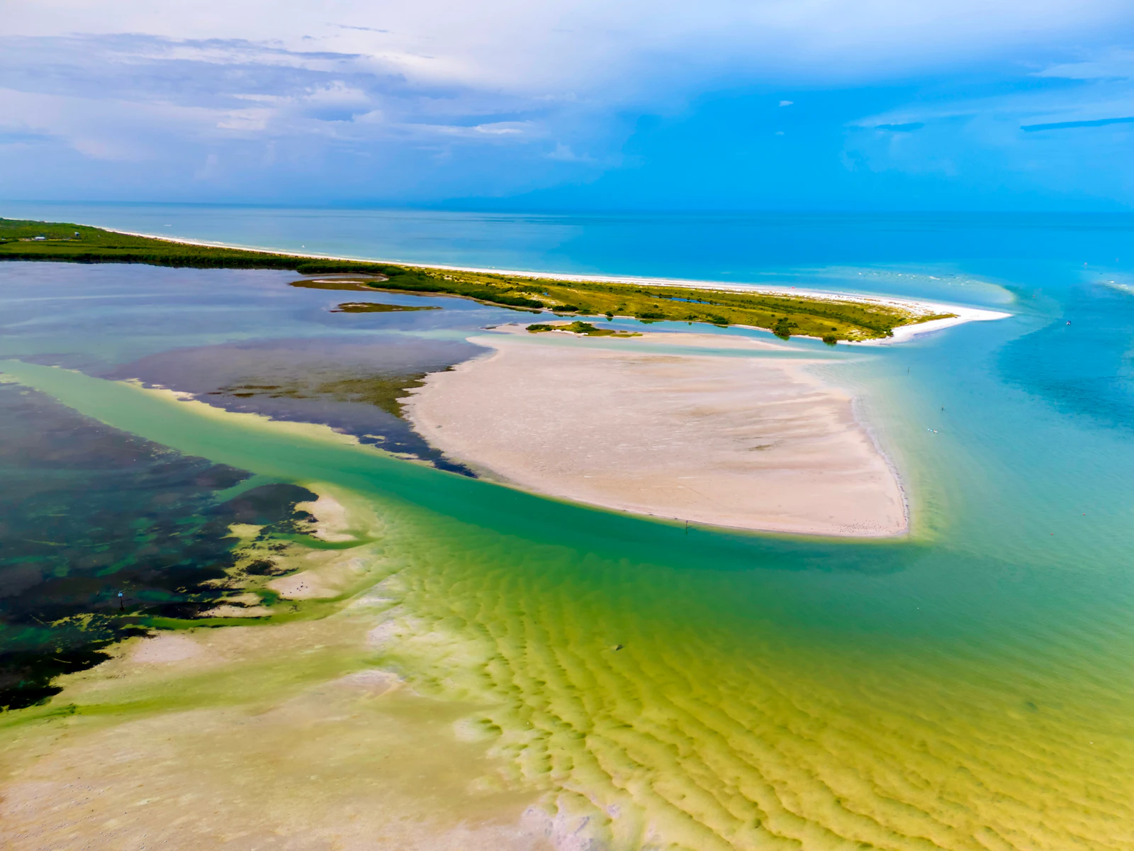 Anna Maria Island, Florida photo 9 by Anita Denunzio