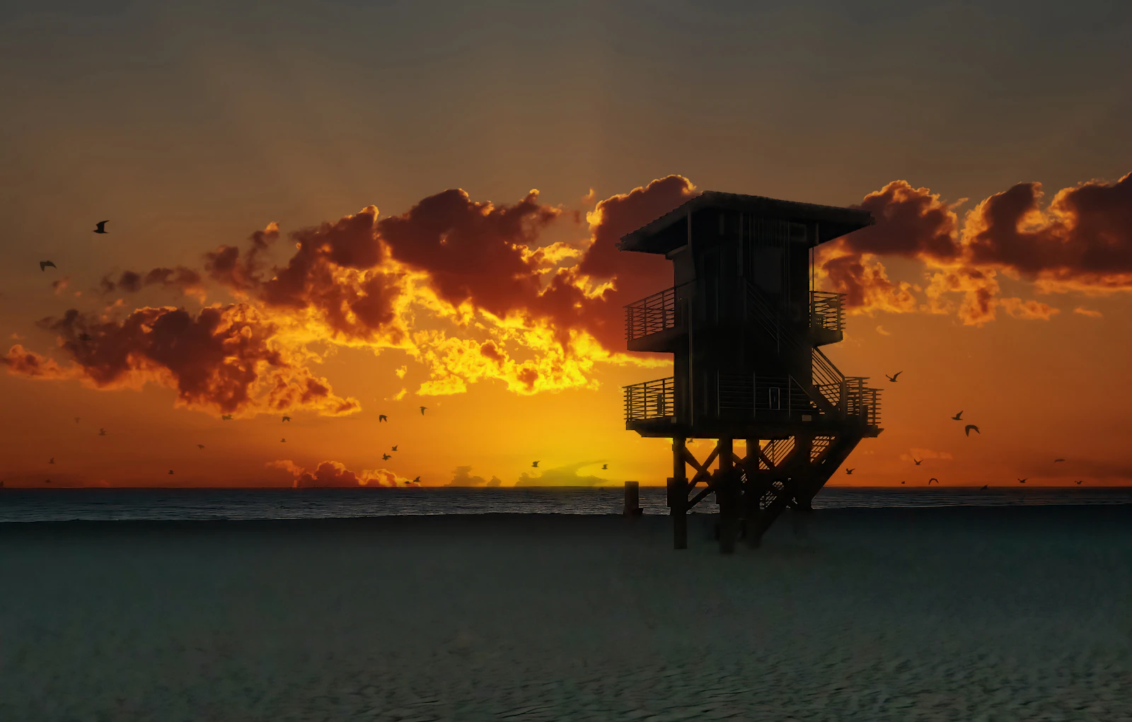 Anna Maria Island, Florida photo 8 by Stephen Crane