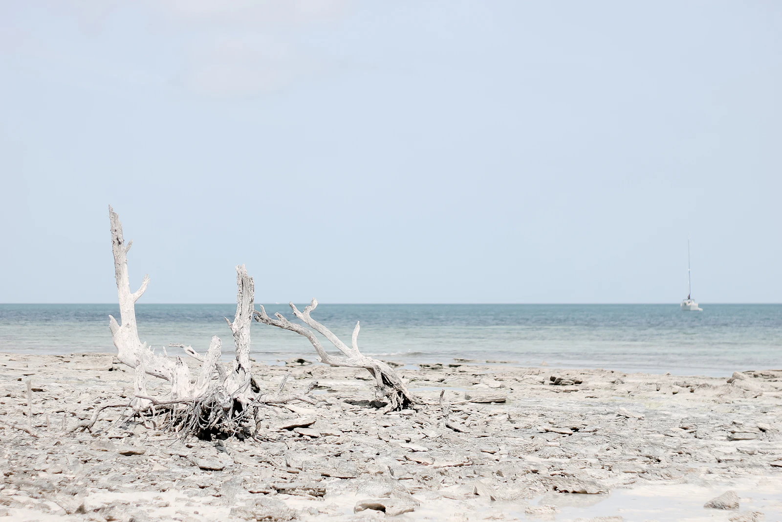 Anna Maria Island, Florida photo 30 by Lindsay Gilbreth