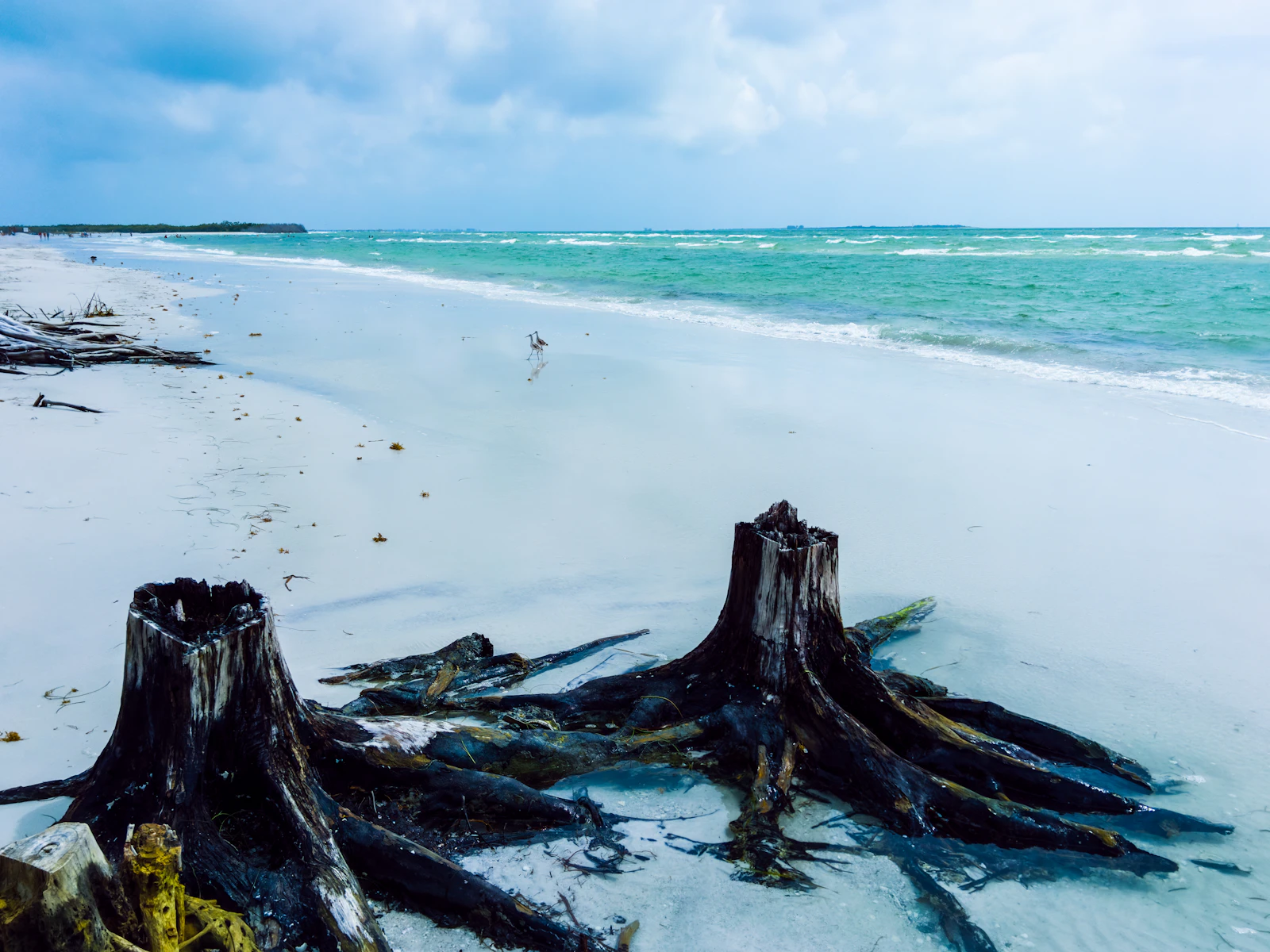 Anna Maria Island, Florida photo 29 by Jeffrey Hamilton