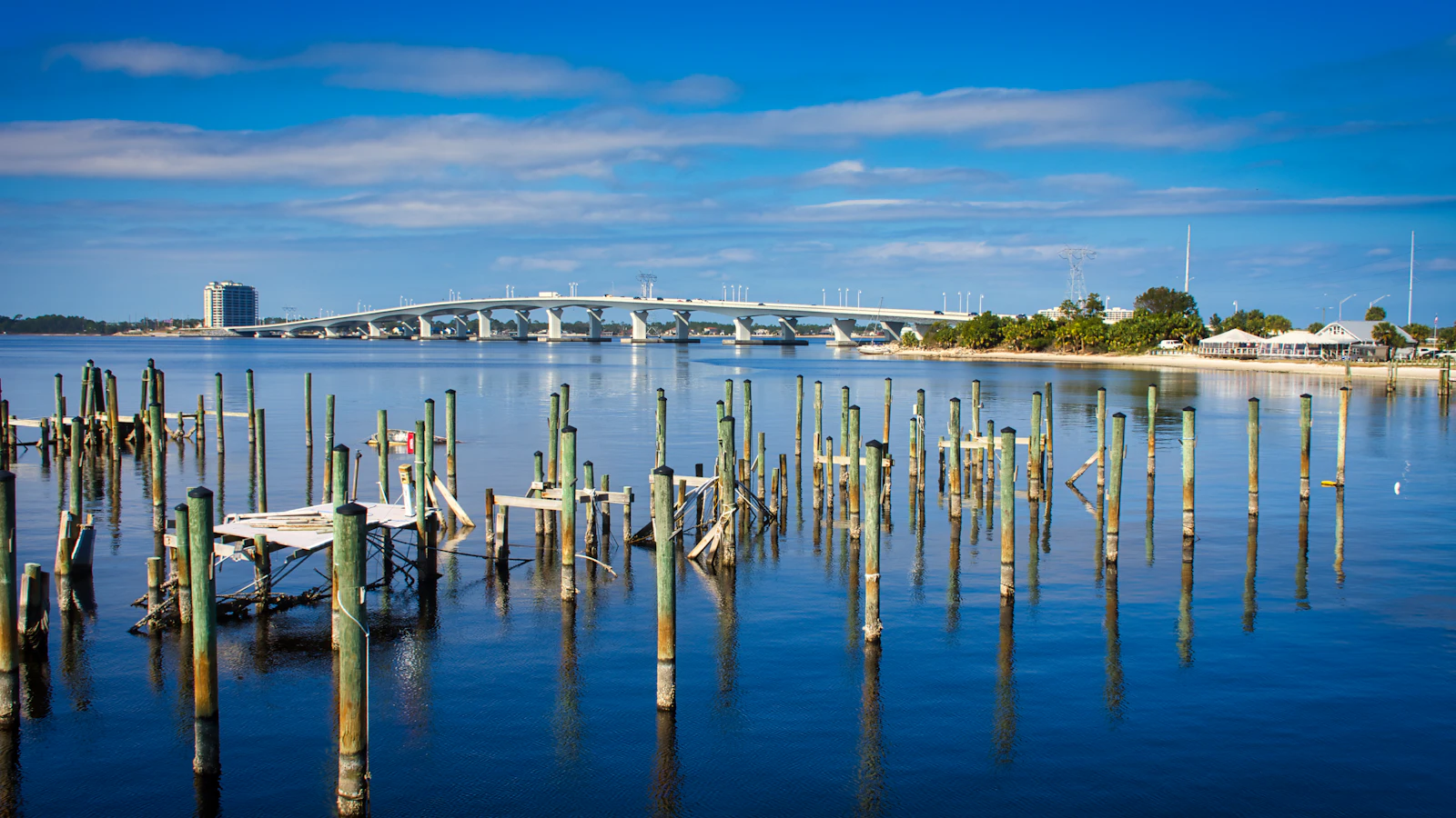 Anna Maria Island, Florida photo 27 by Craig Cameron