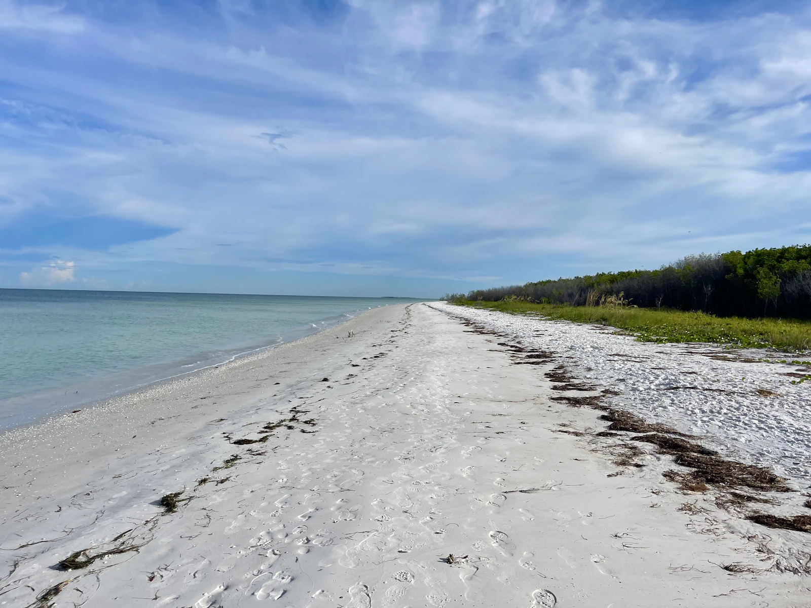 Anna Maria Island, Florida photo 15 by Anita Denunzio