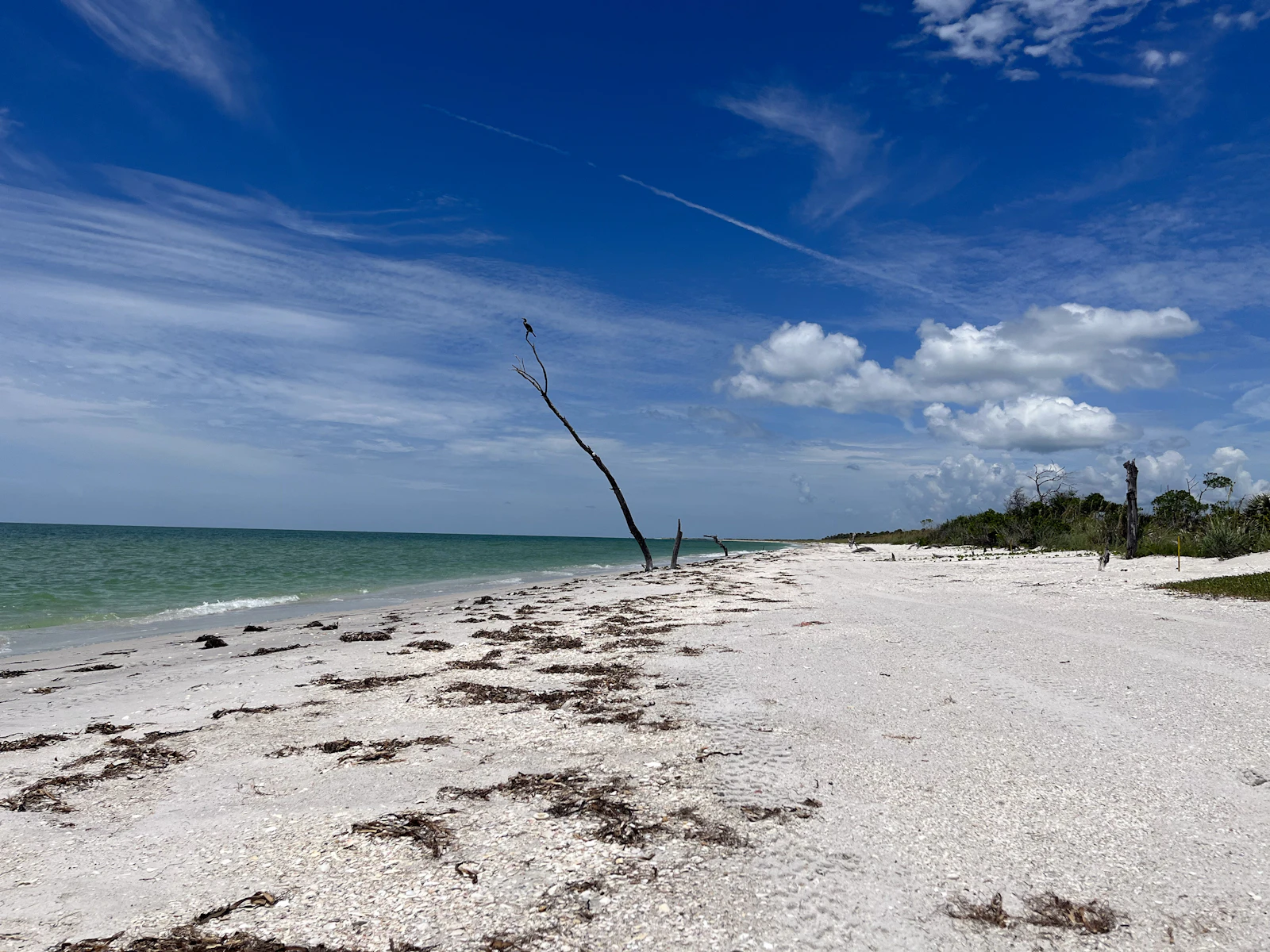 Anna Maria Island, Florida photo 18 by maria kolmakova