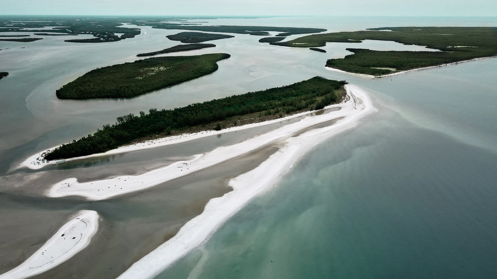 Anna Maria Island, Florida photo 4 by Chrissy