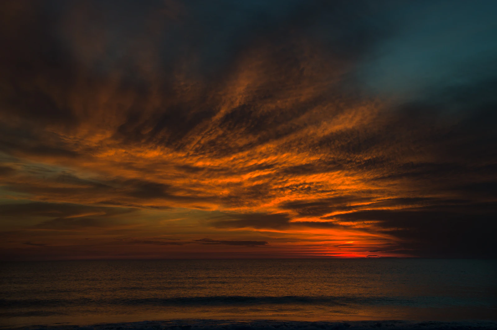 Anna Maria Island, Florida photo 7 by Philip Schroeder