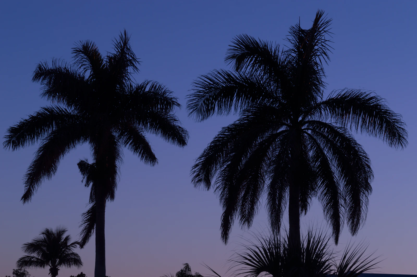 Anna Maria Island, Florida photo 5 by Philip Schroeder