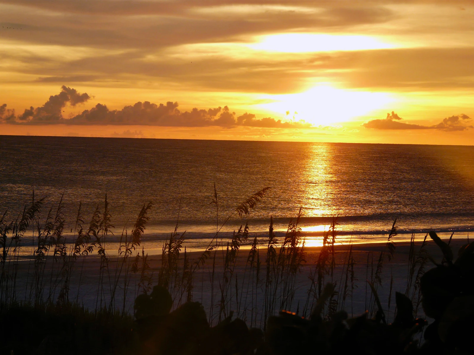 Anna Maria Island, Florida photo 6 by Nathan Andress