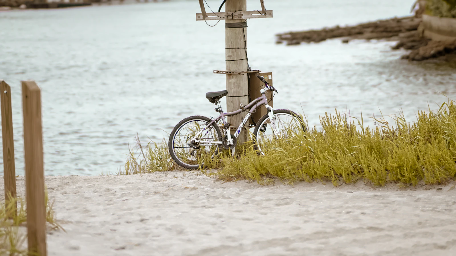Boca Raton, Florida photo 12 by DeAndre Frasier