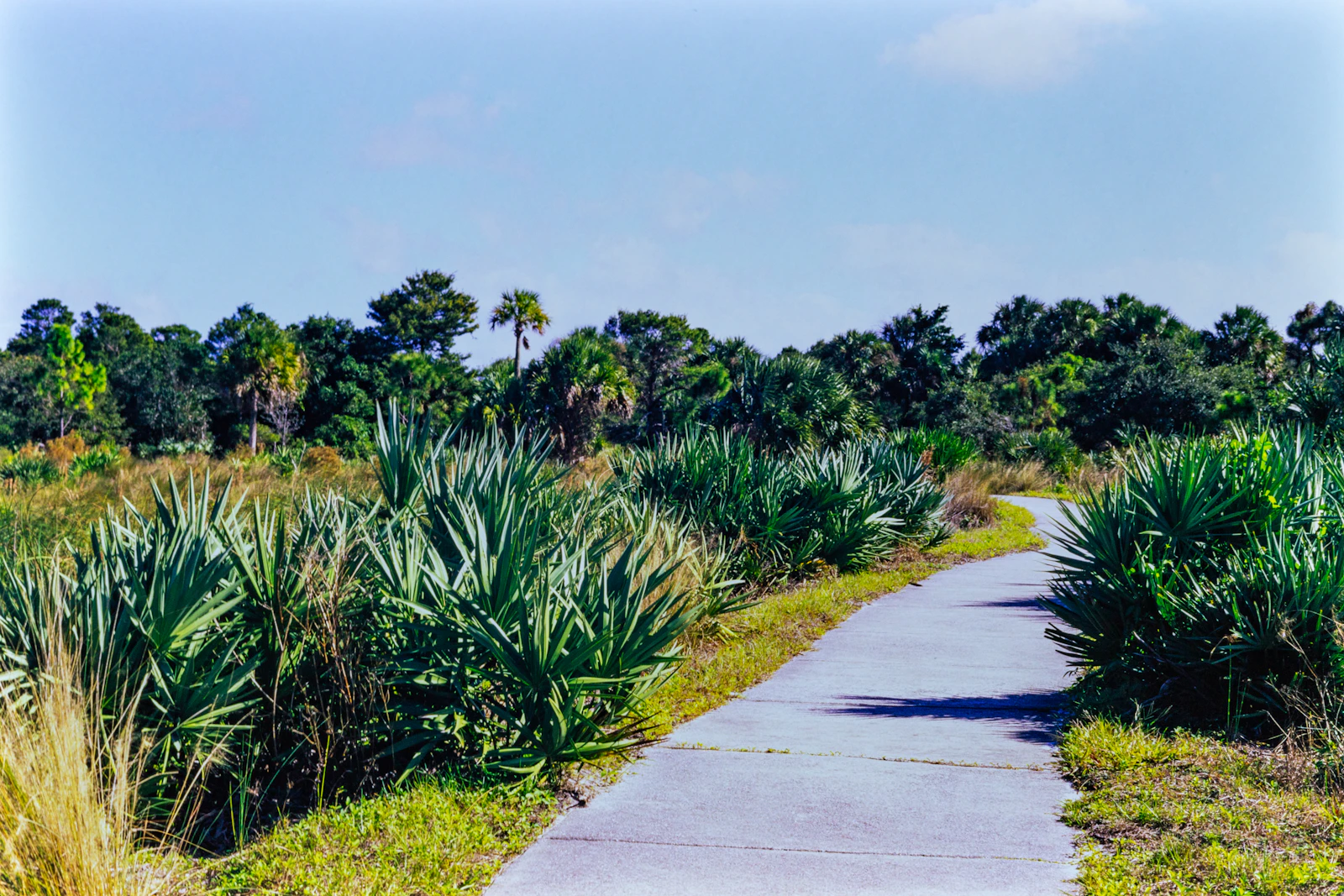 Boca Raton, Florida photo 3 by Jude Infantini