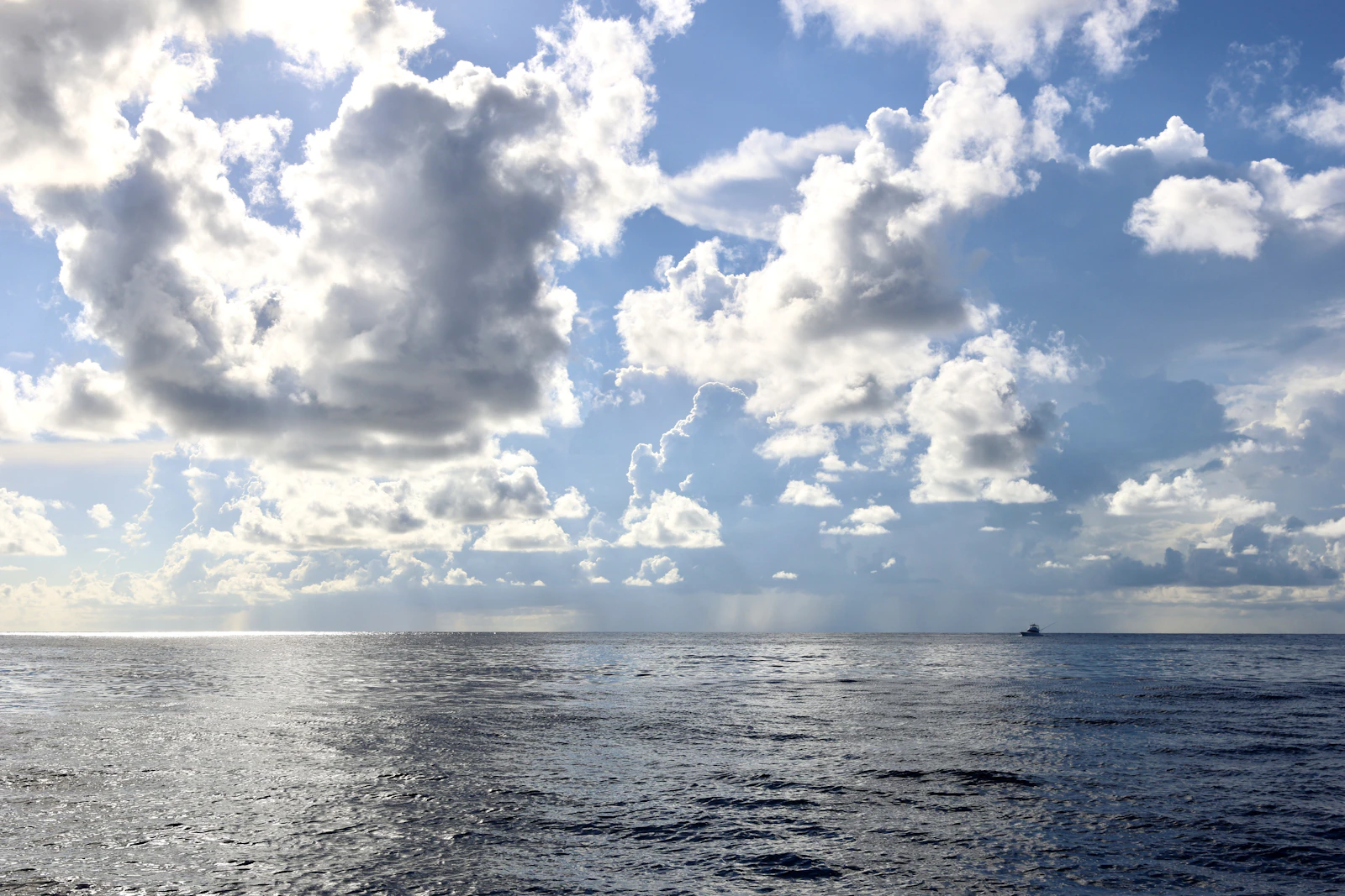 Boca Raton, Florida photo 18 by Scott Greer