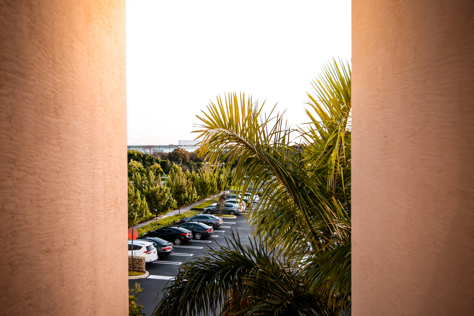 Boca Raton, Florida photo 23 by Emanuel Ekström