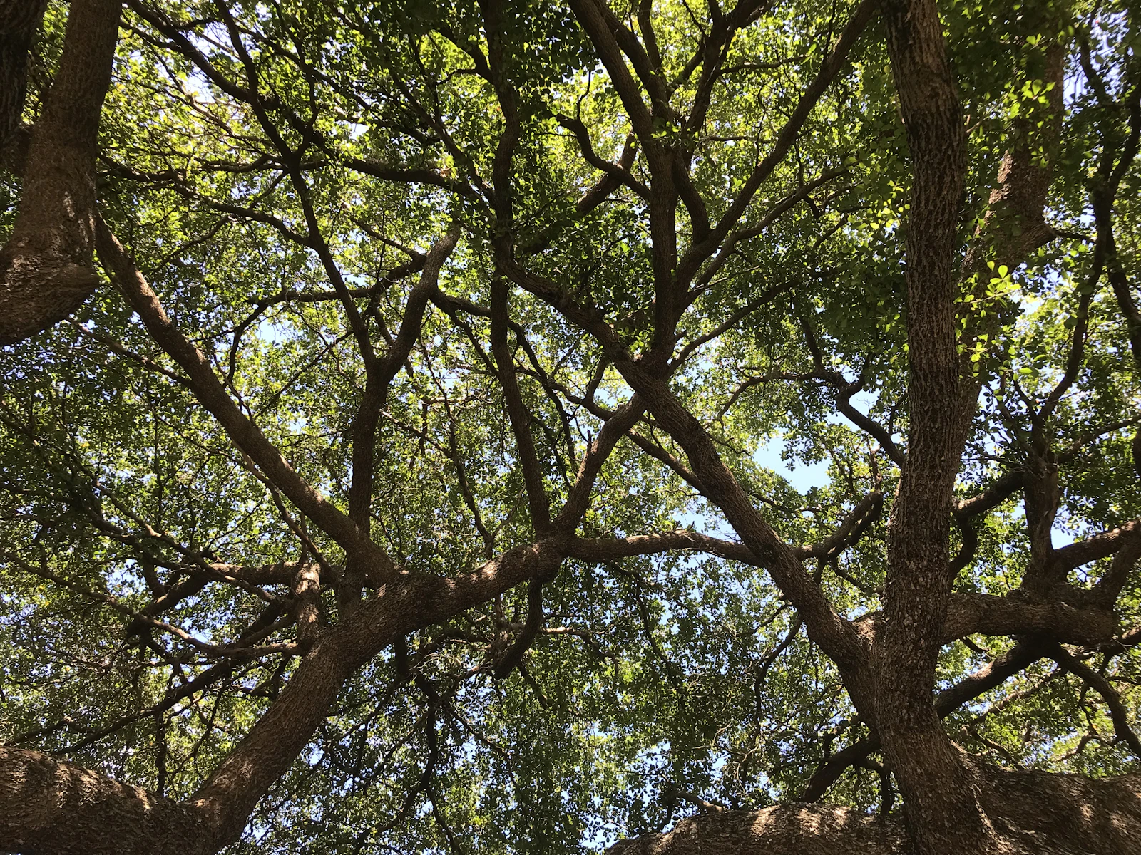 Boca Raton, Florida photo 22 by Melissa