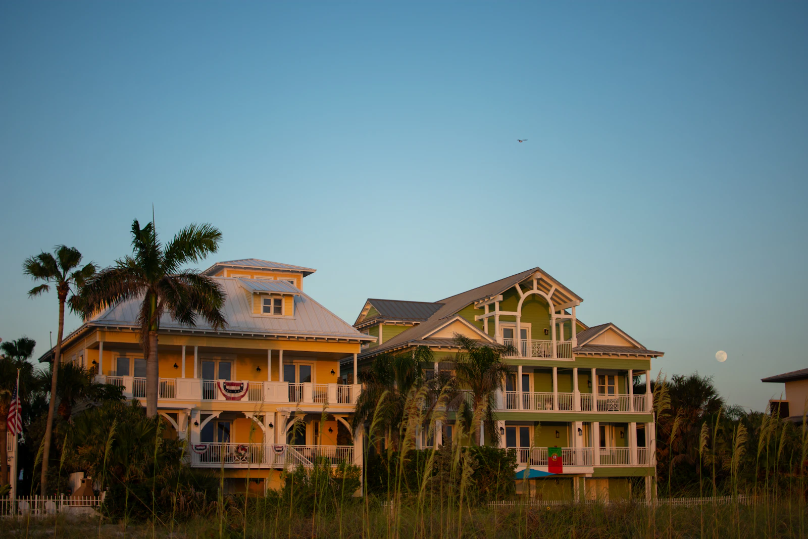 Clearwater, Florida photo 22 by Juliana Uribbe