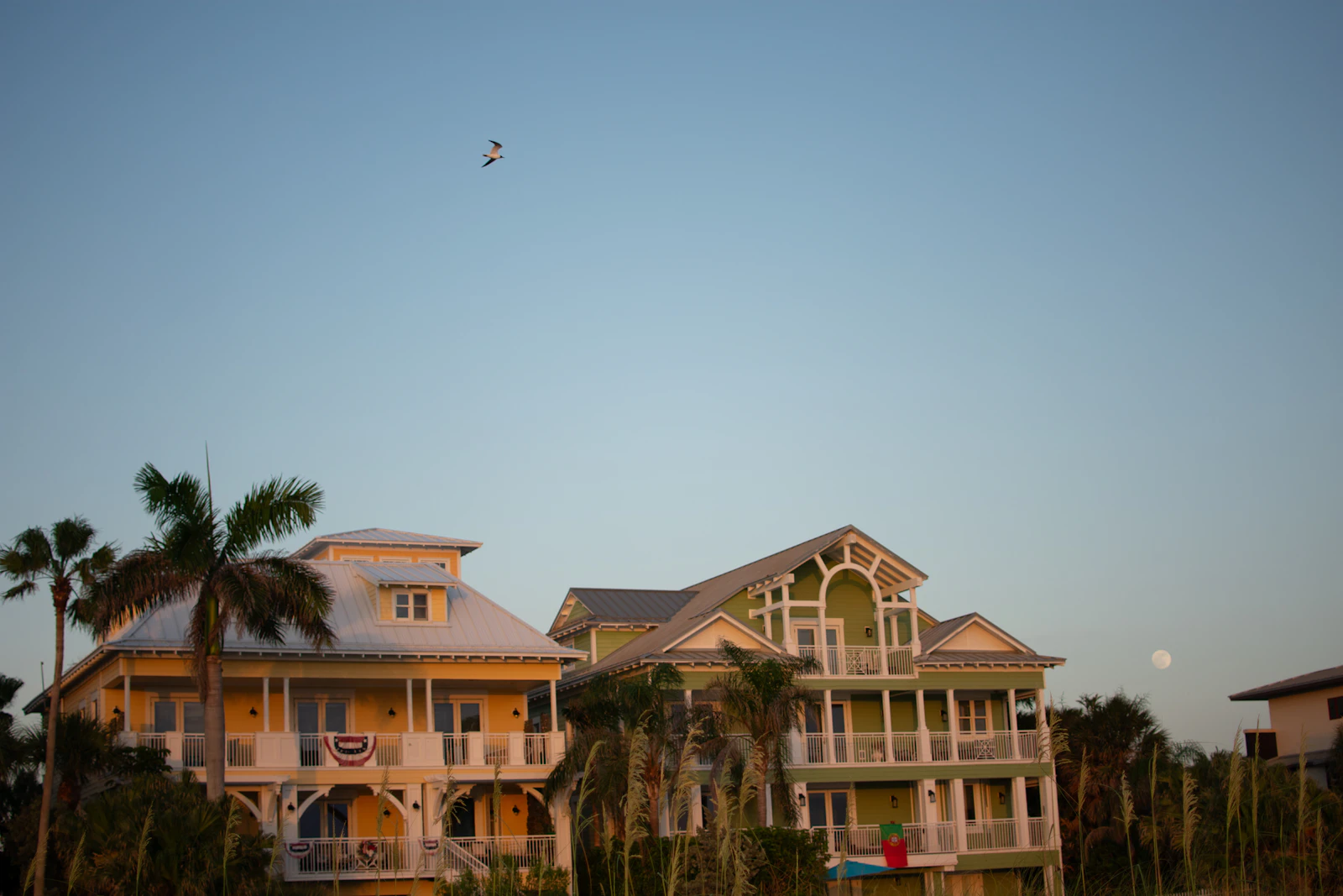 Clearwater, Florida photo 28 by Juliana Uribbe