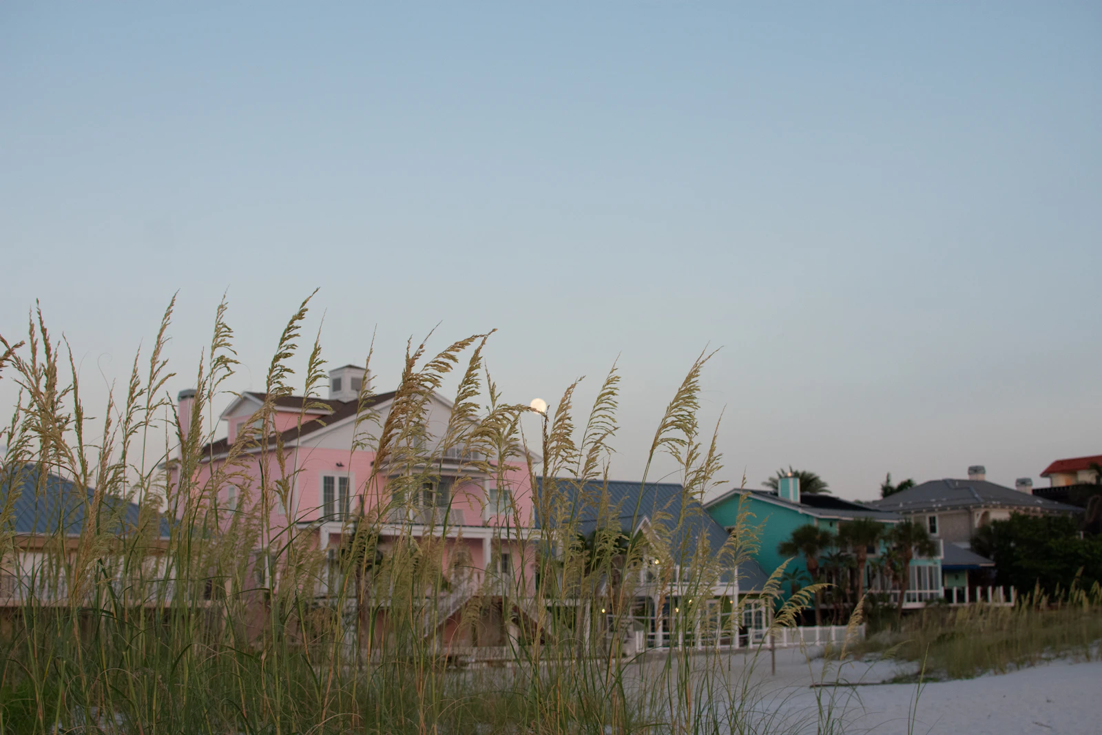 Clearwater, Florida photo 24 by Juliana Uribbe