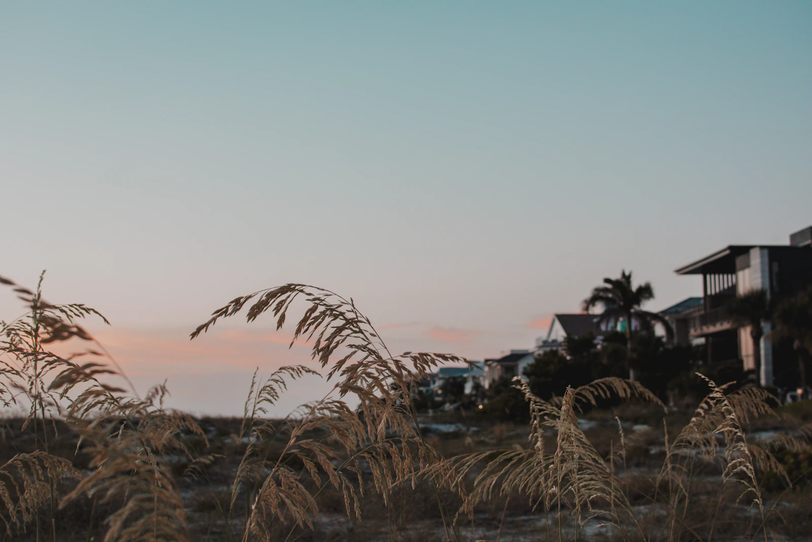 Clearwater, Florida photo 30 by Juliana Uribbe