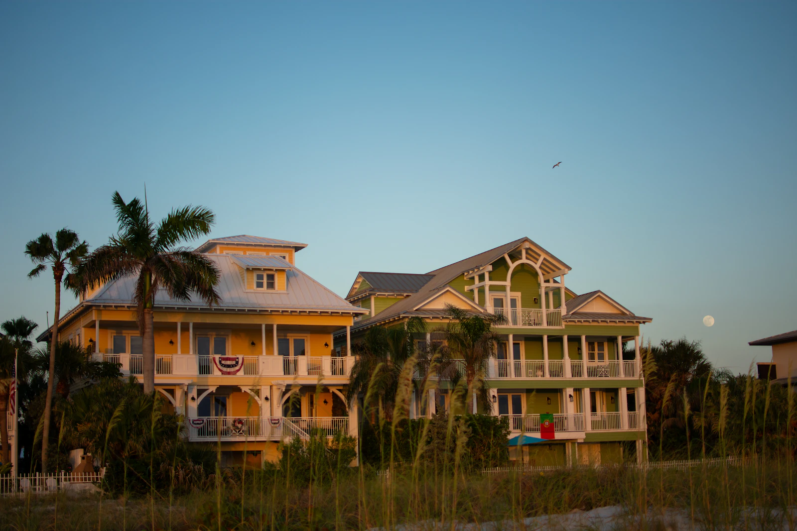 Clearwater, Florida photo 17 by Juliana Uribbe