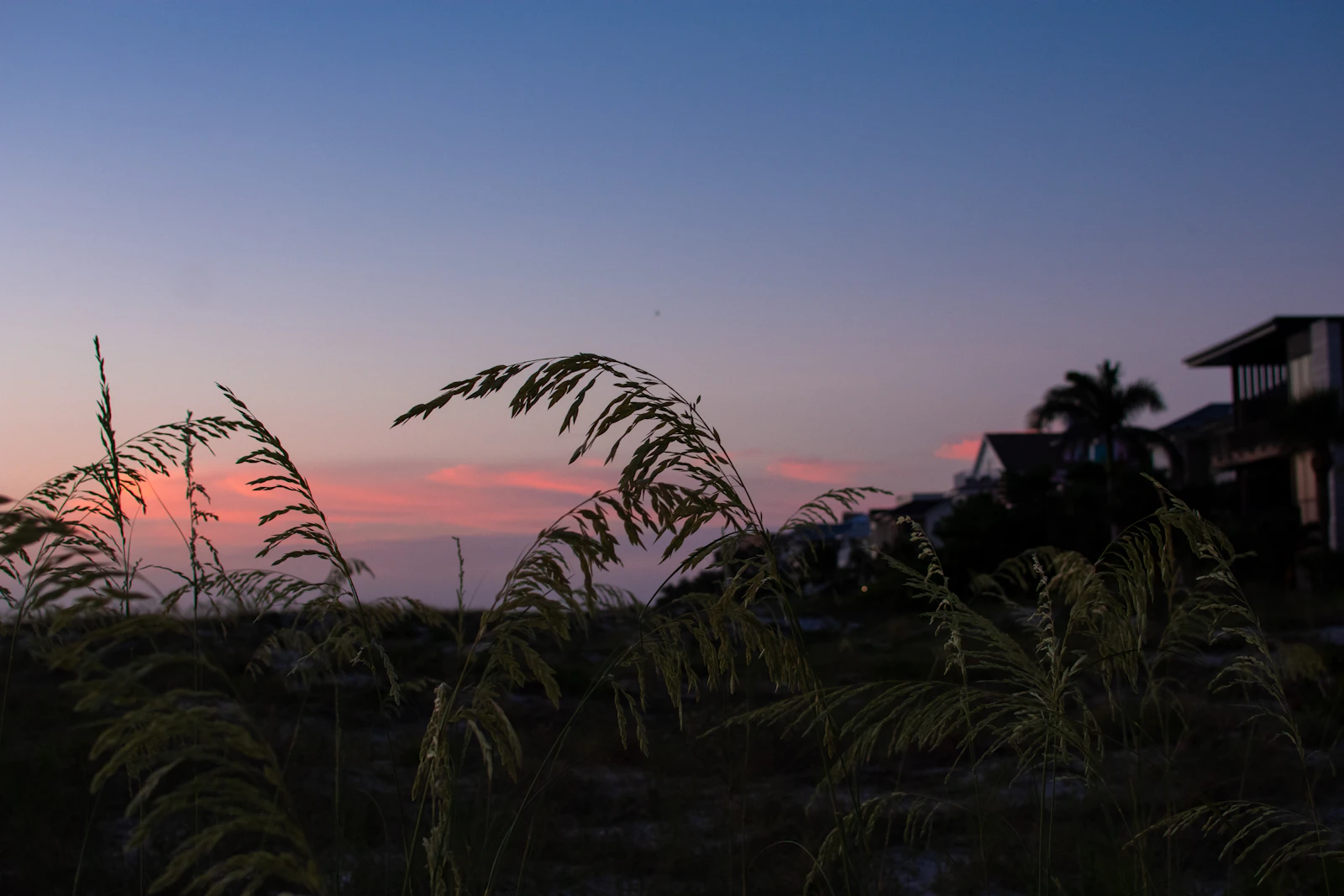 Clearwater, Florida photo 29 by Juliana Uribbe